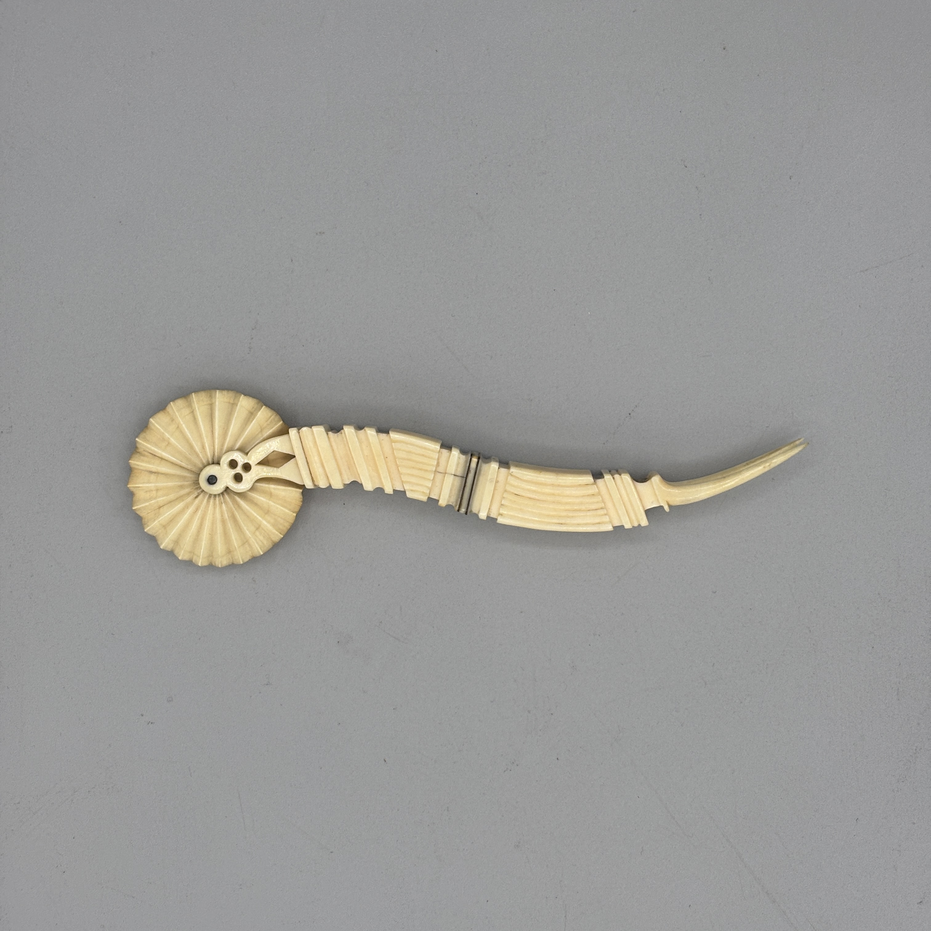 2026/02/24 image taken in collections storage for database