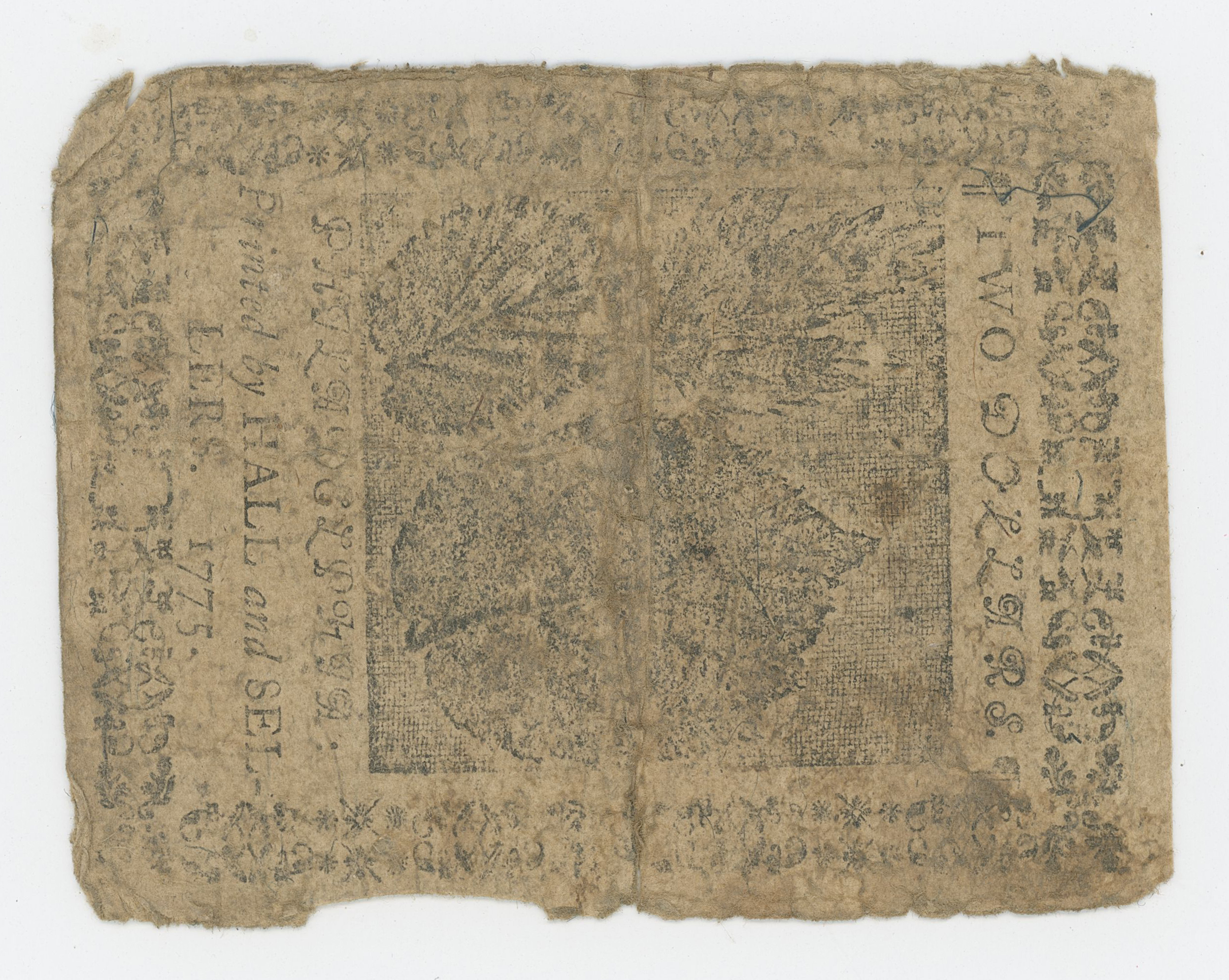 2026/03/19 scanned in collection storage for database