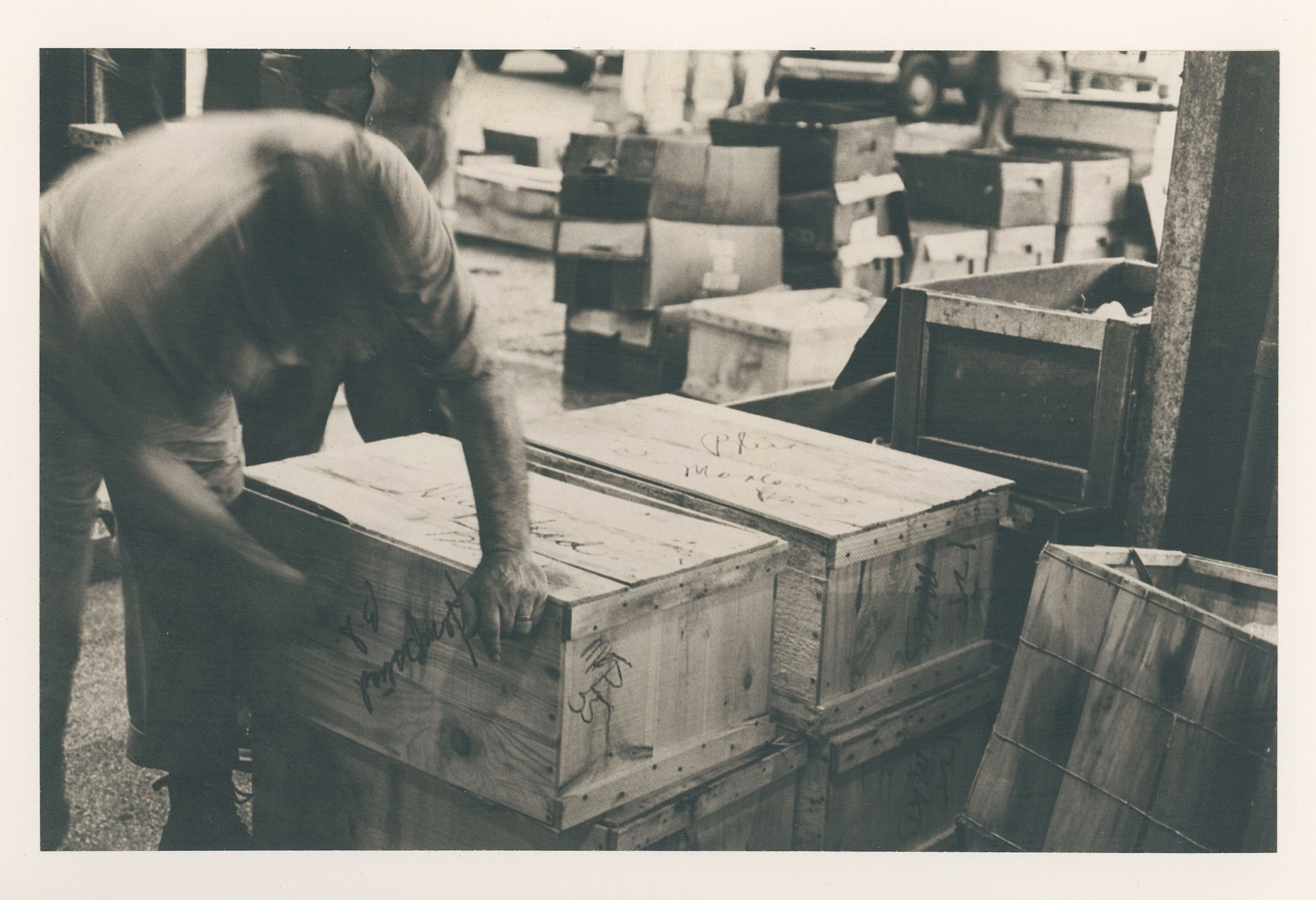 2026/06/10 scanned in collection storage for database