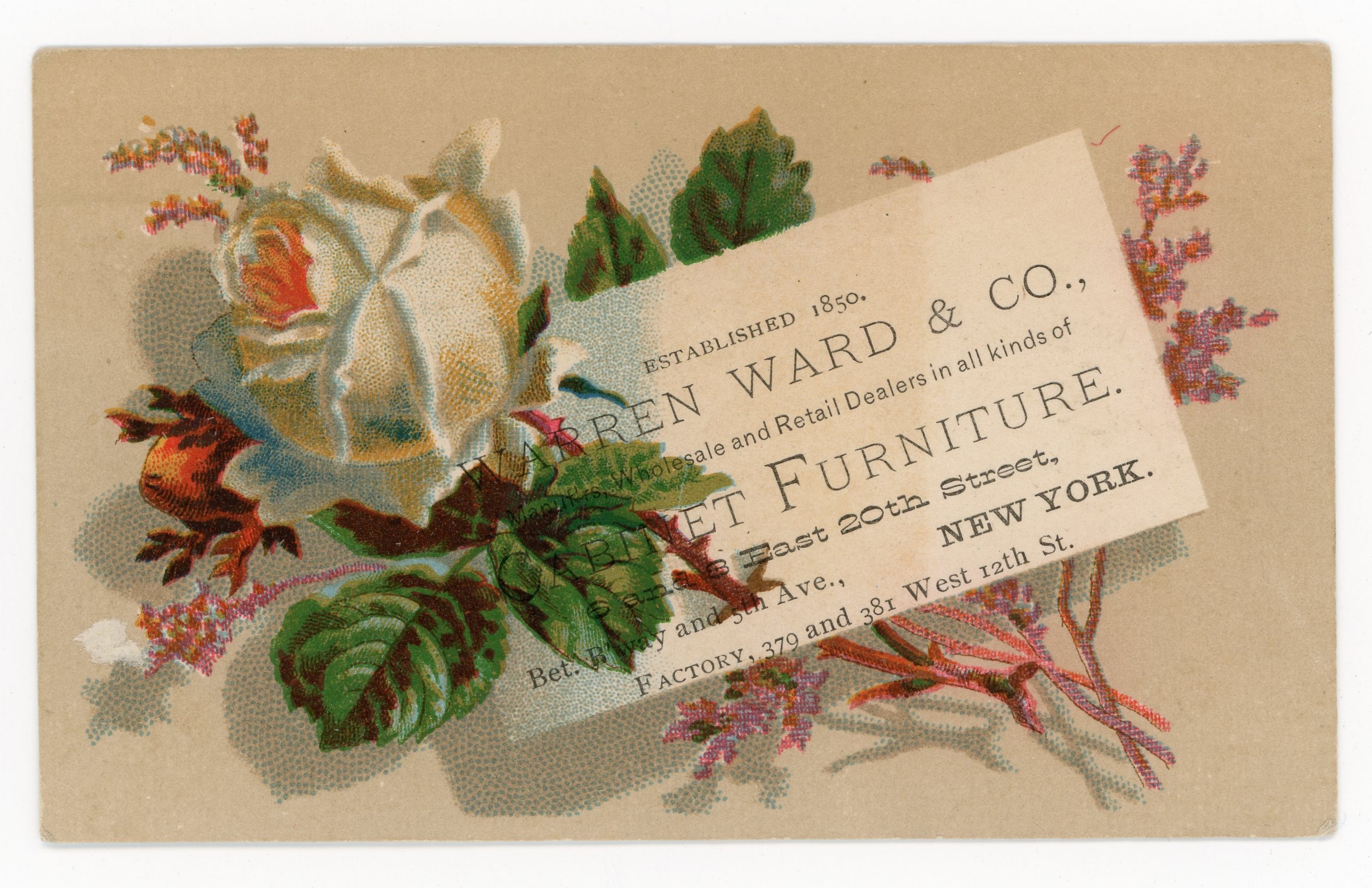 2026/07/02, scanned in collections storage for database