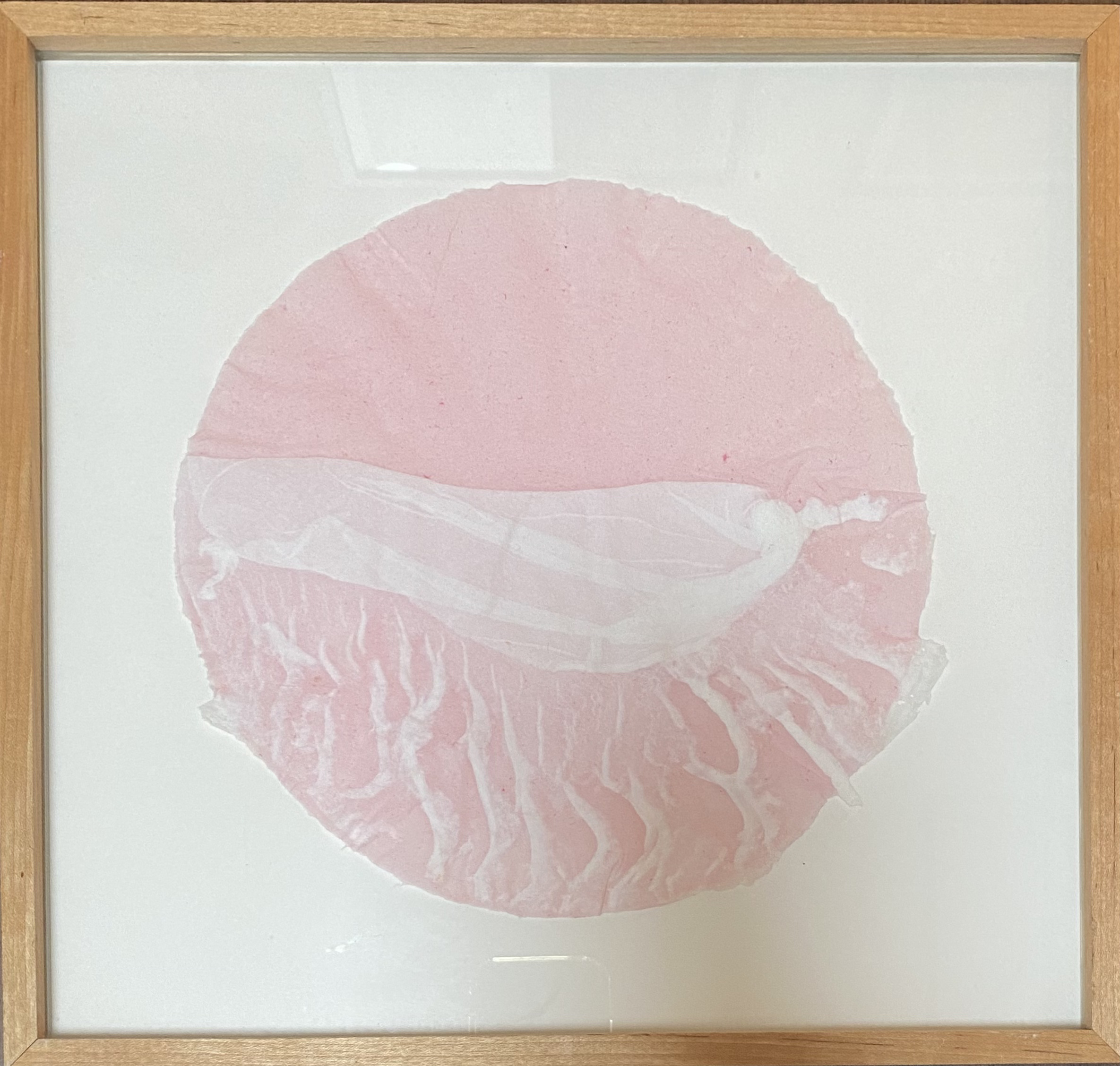 Image description is not available for 2024.3.109