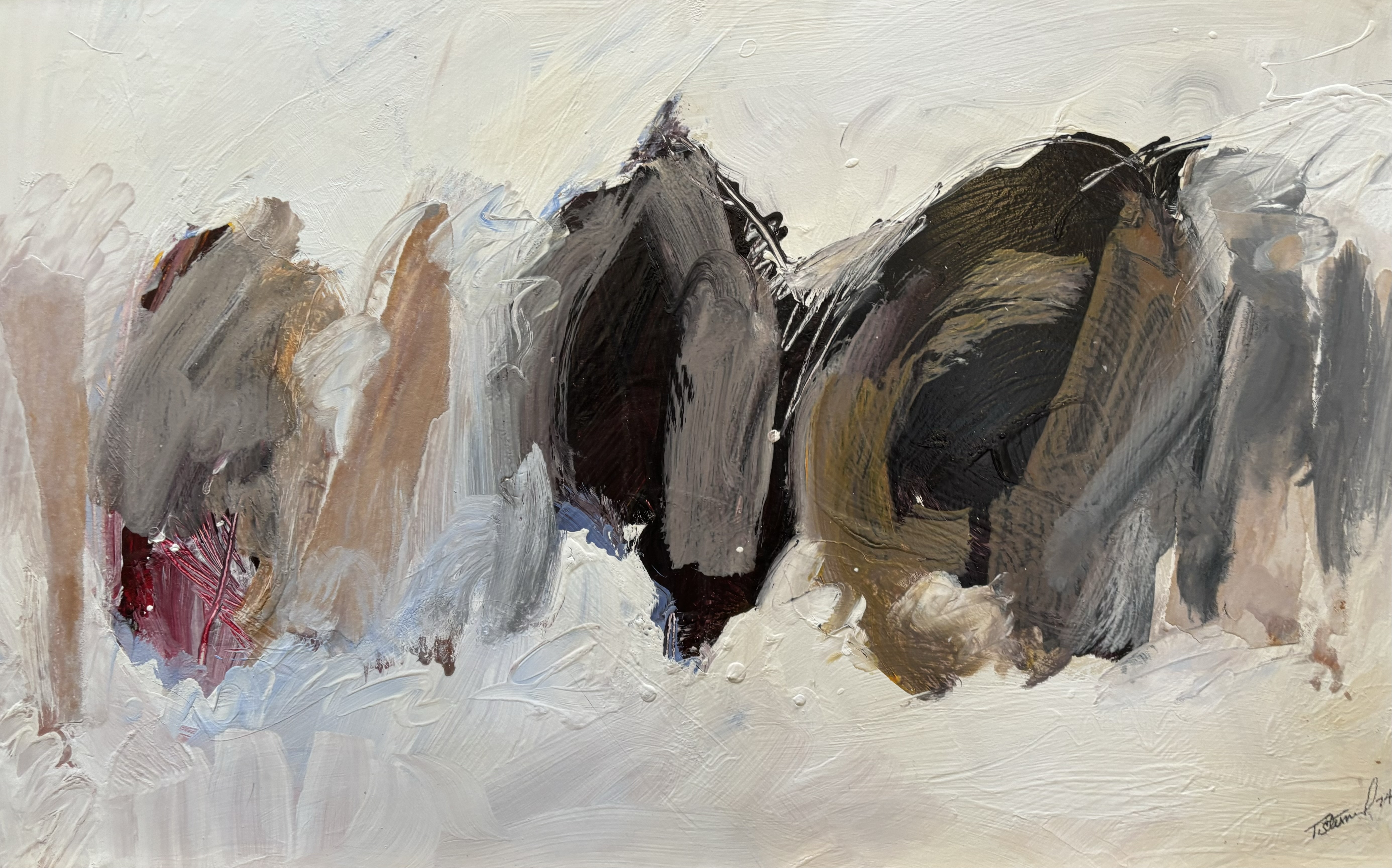 Image description is not available for SternalT_4