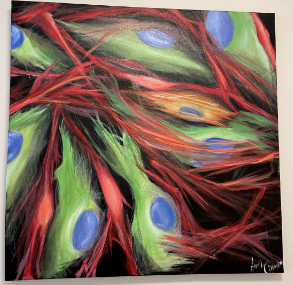 Image description is not available for CittadinoAM_1