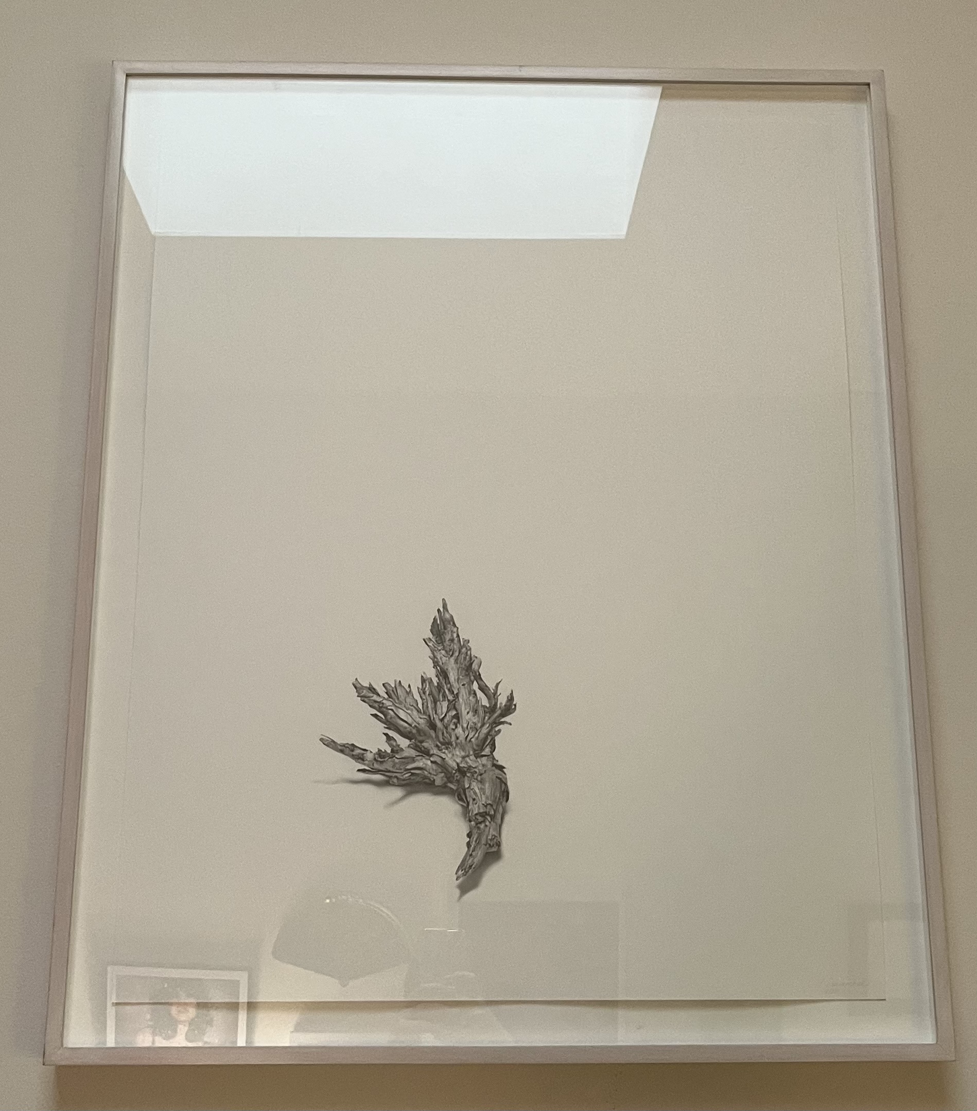 Image description is not available for DemianchukV_2003.2