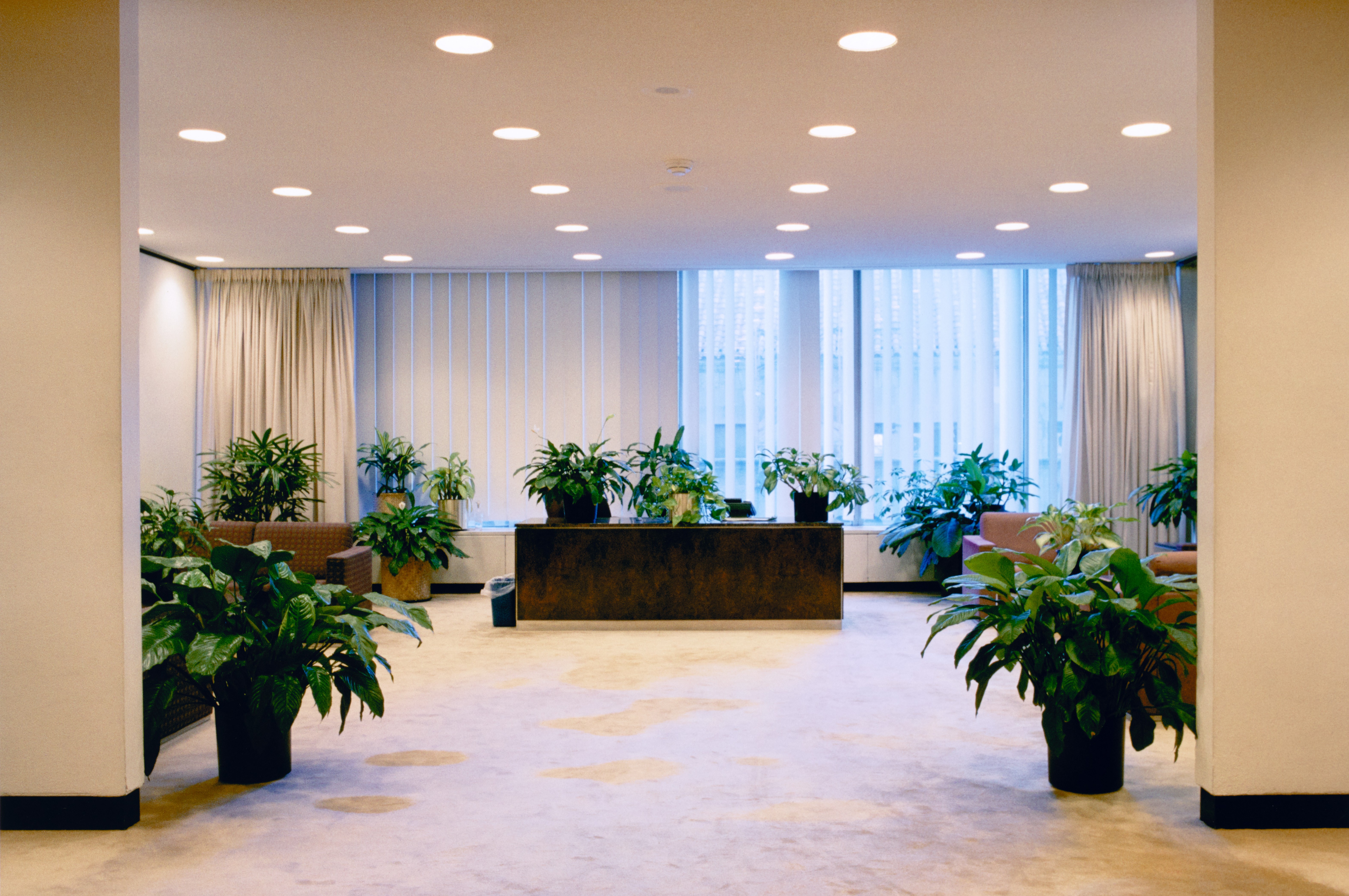 Image description is not available for PavlovicV_2019.2.1