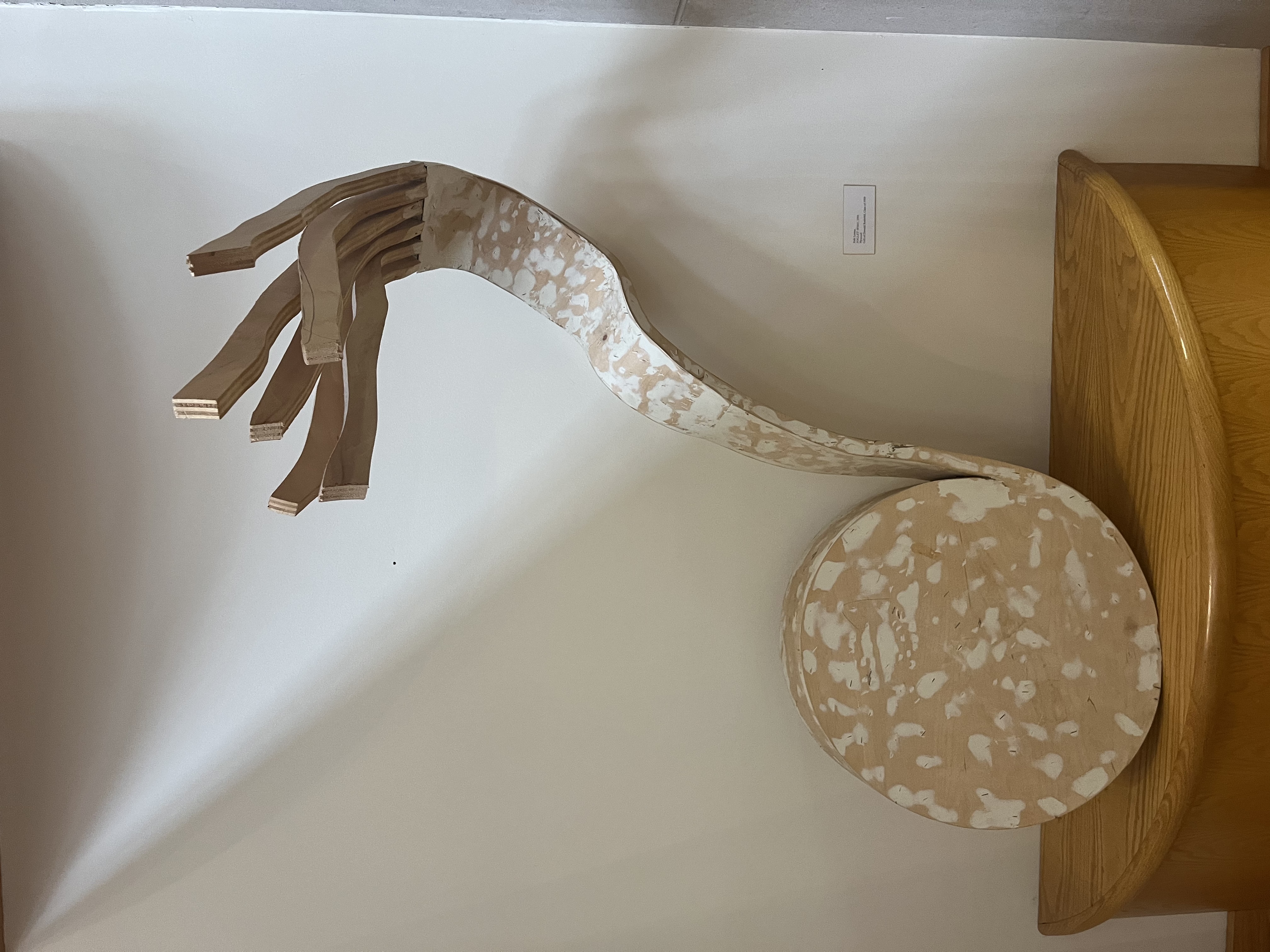 Image description is not available for LevineE_2007.1.11