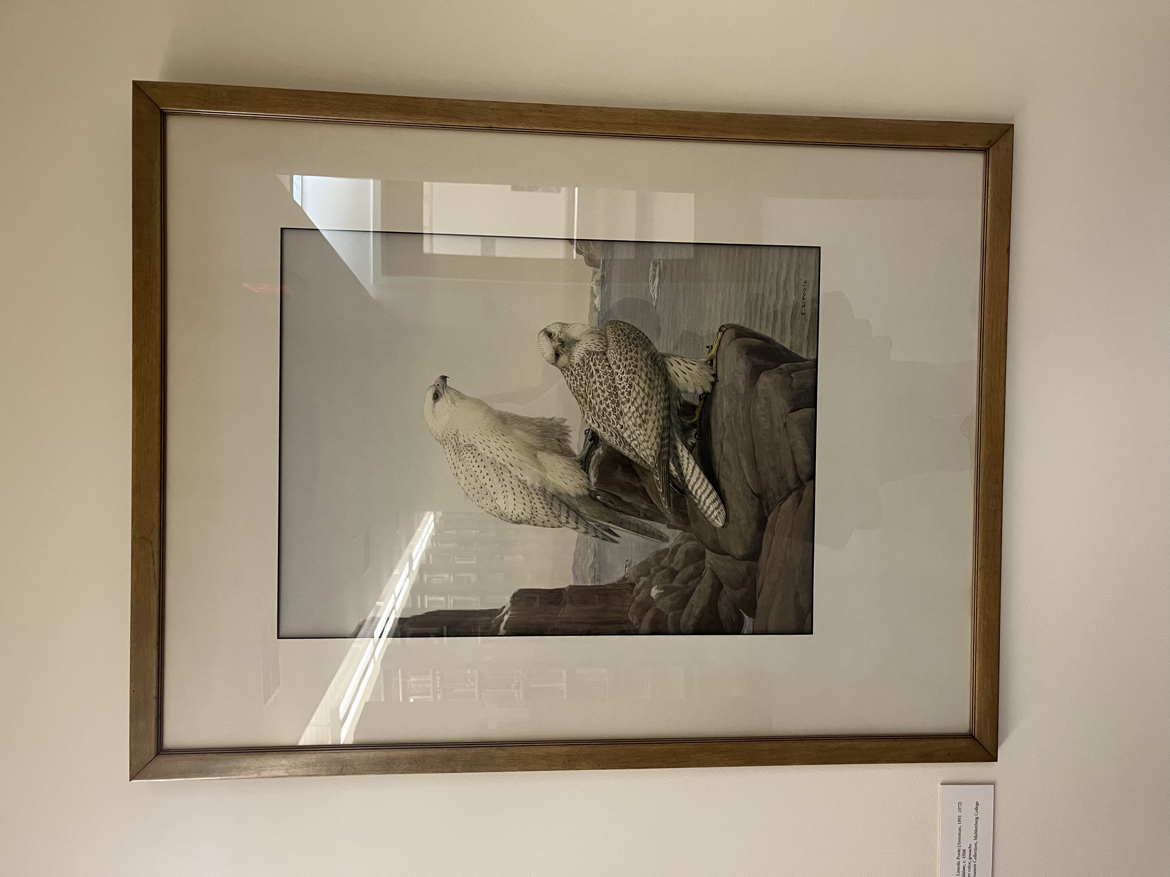 Image description is not available for PooleEL_1