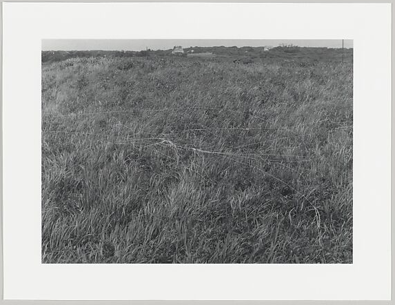 Image description is not available for ShalalaE_2014.4.38