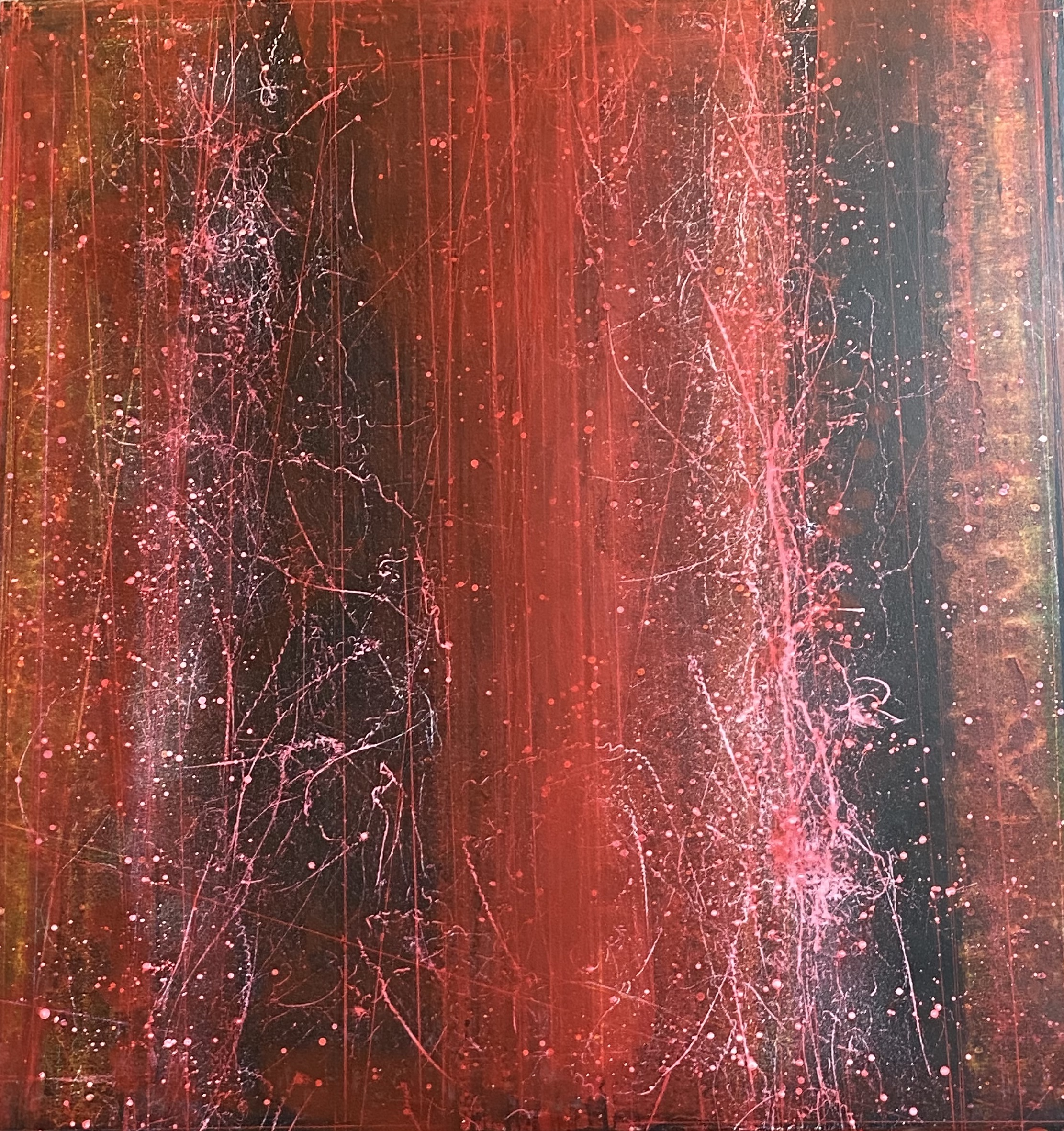 Image description is not available for MannD_1