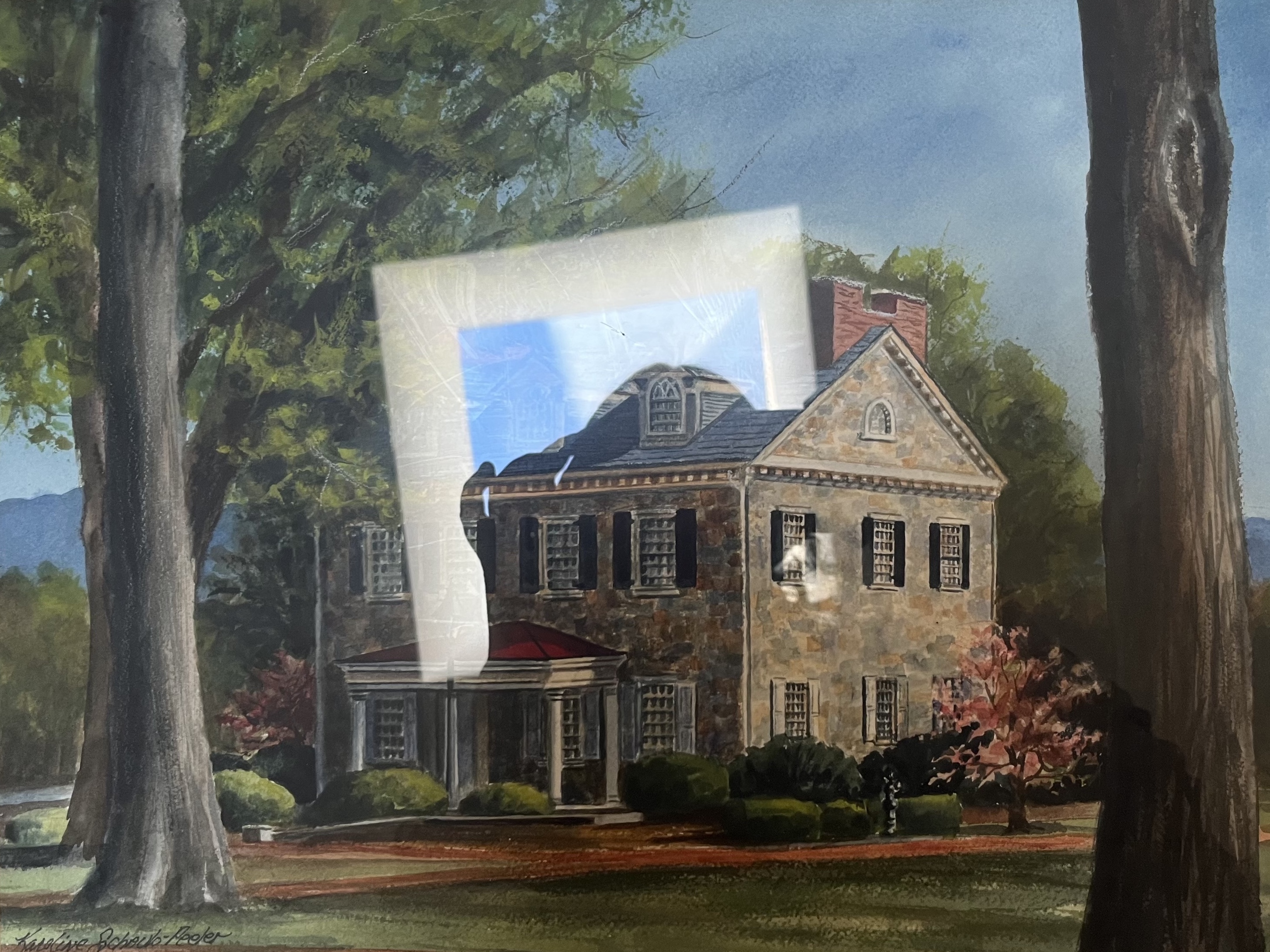 Image description is not available for SchaubPeelerK_2003.5