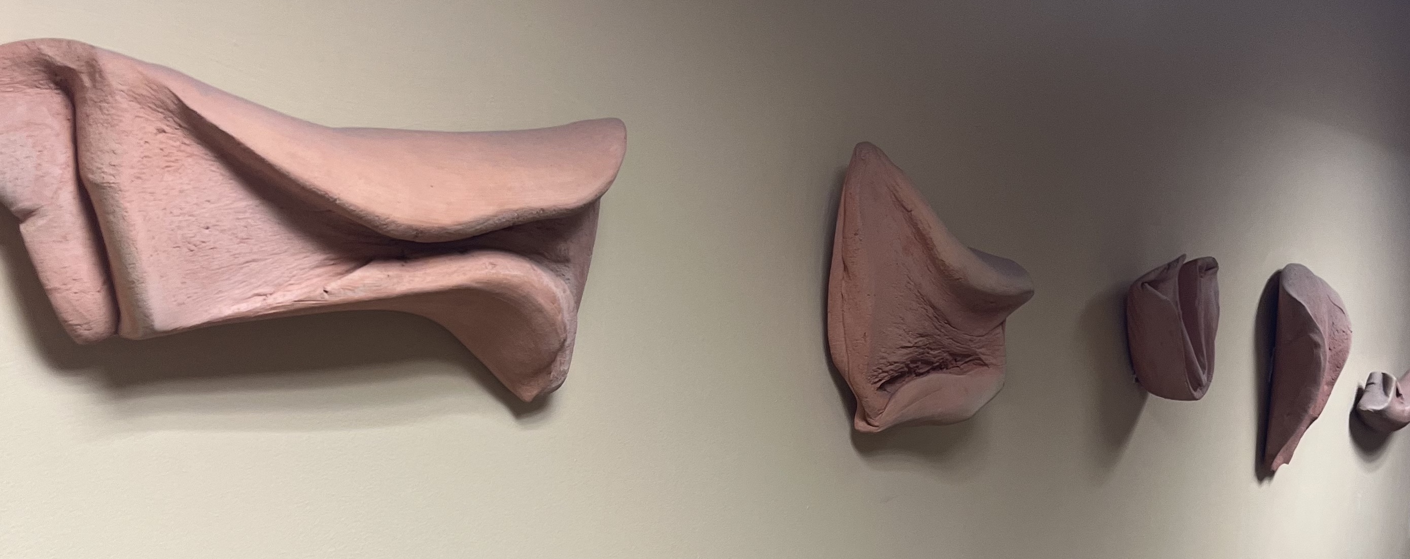 Image description is not available for SerraR_2000.5.1-5