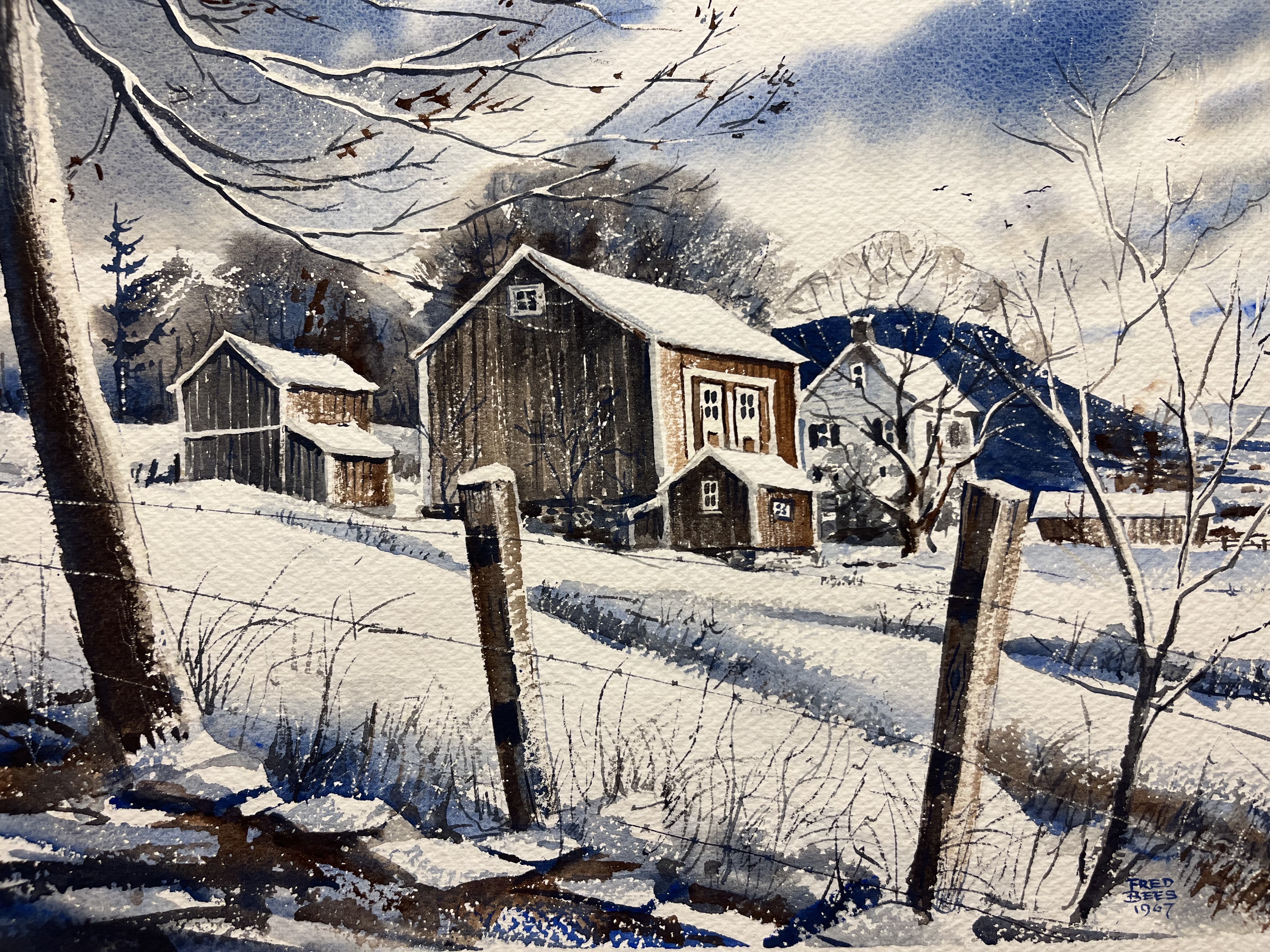 Image description is not available for BeesF_2