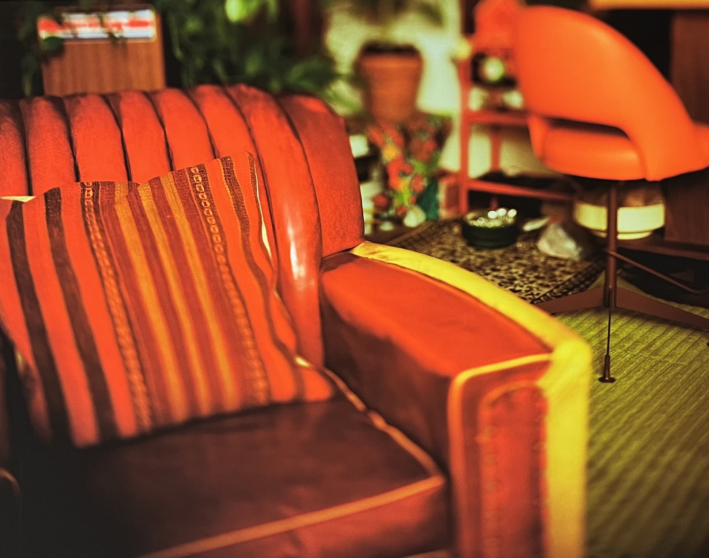 Image description is not available for EmmonsA_2006.3