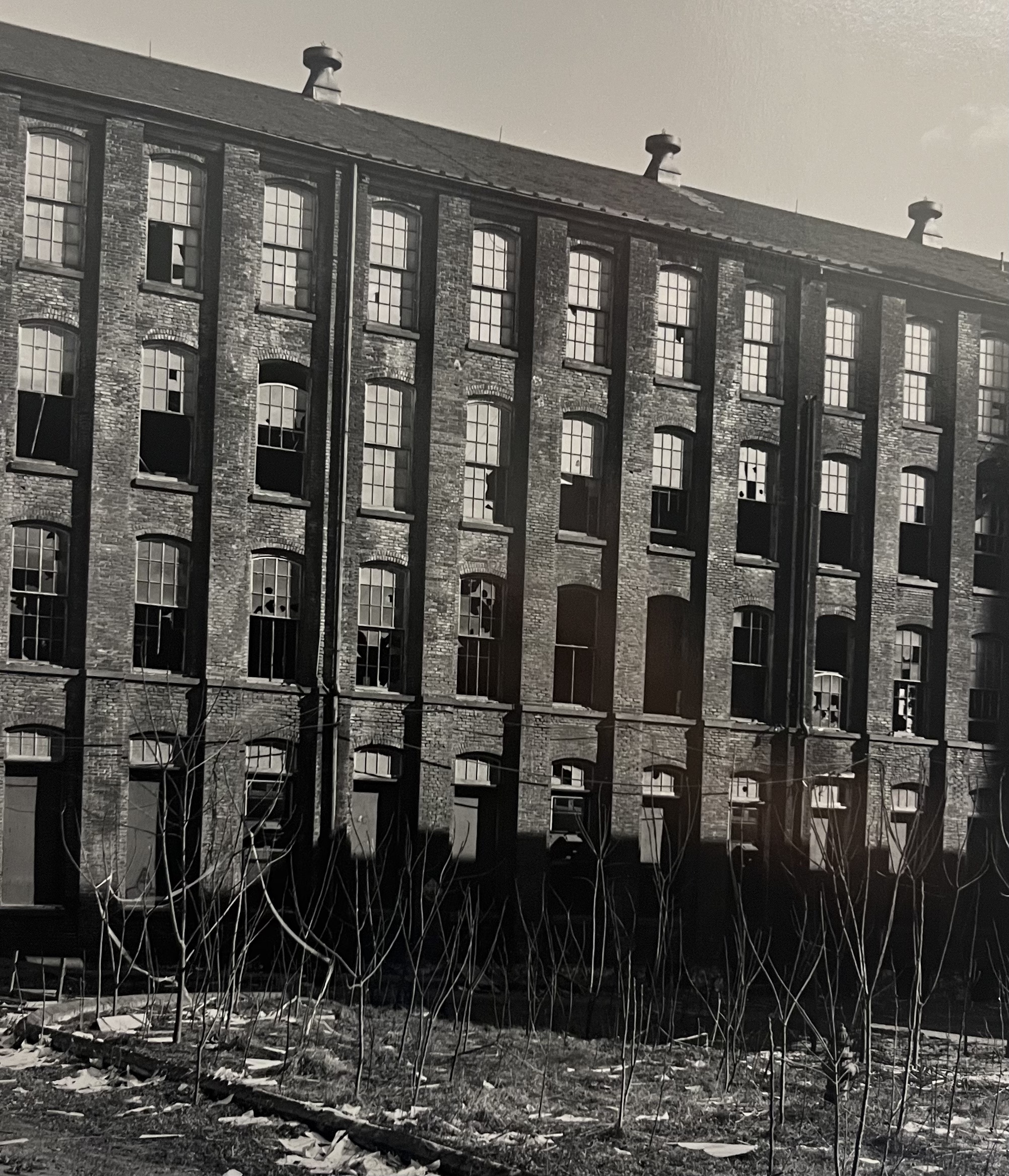 Image description is not available for DeshtM_1999.6.2