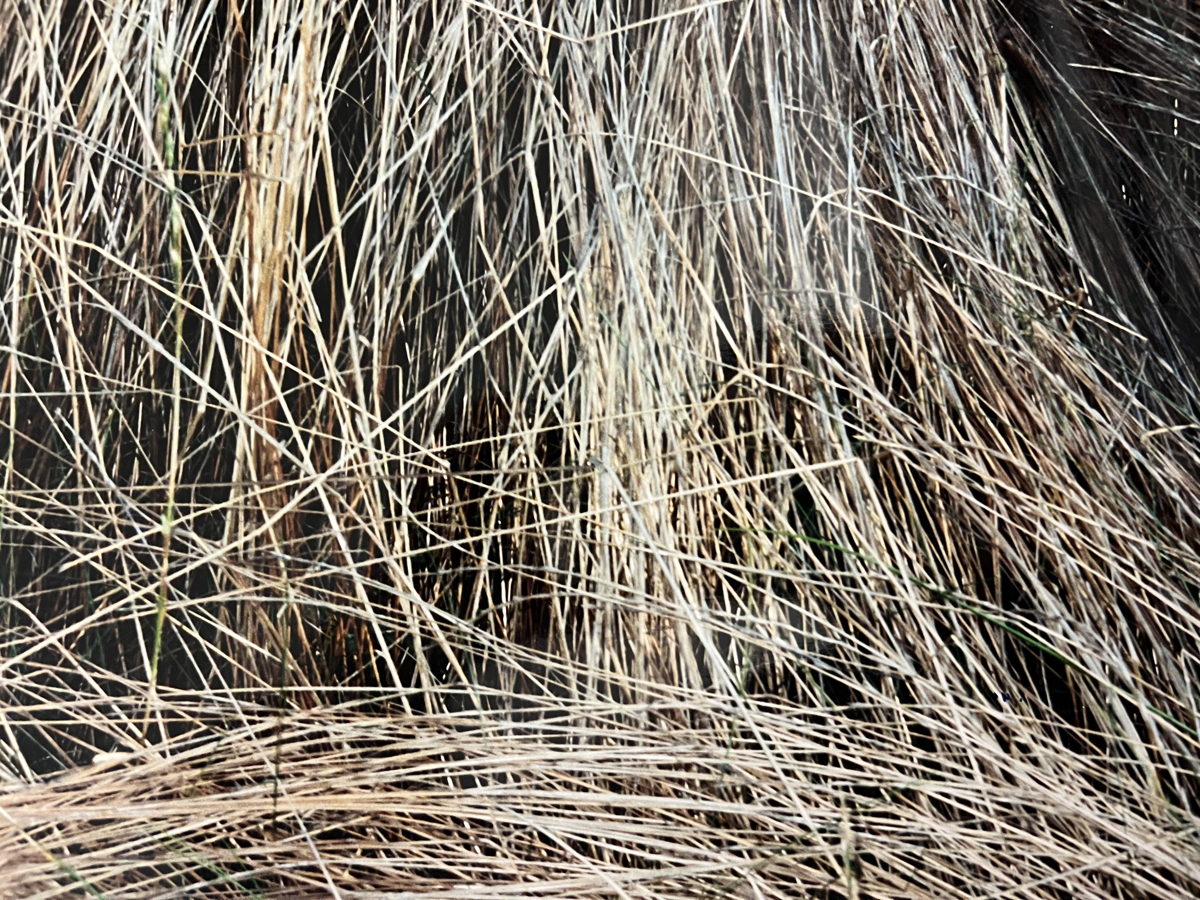 Image description is not available for BegbieR_2002.9.2