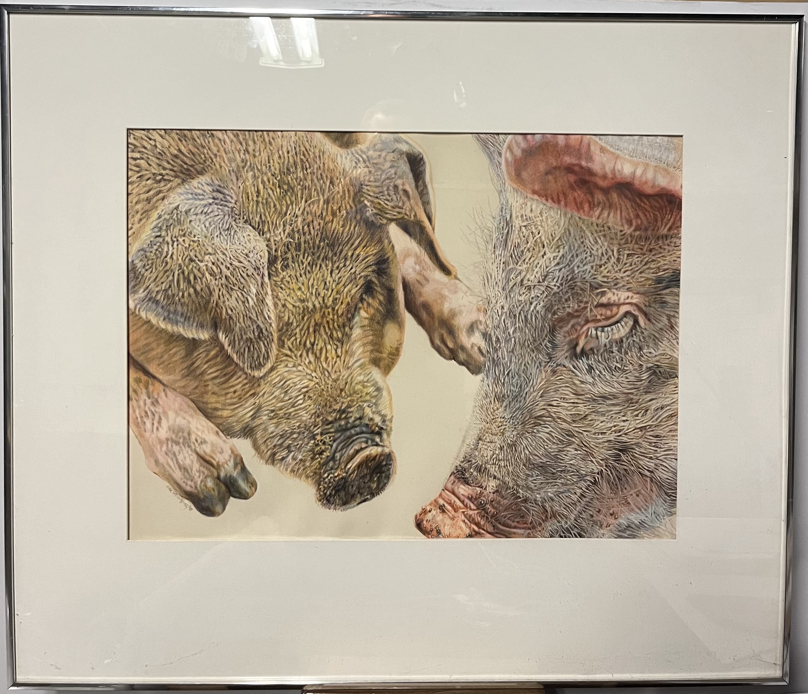 Image description is not available for 2024.3.77