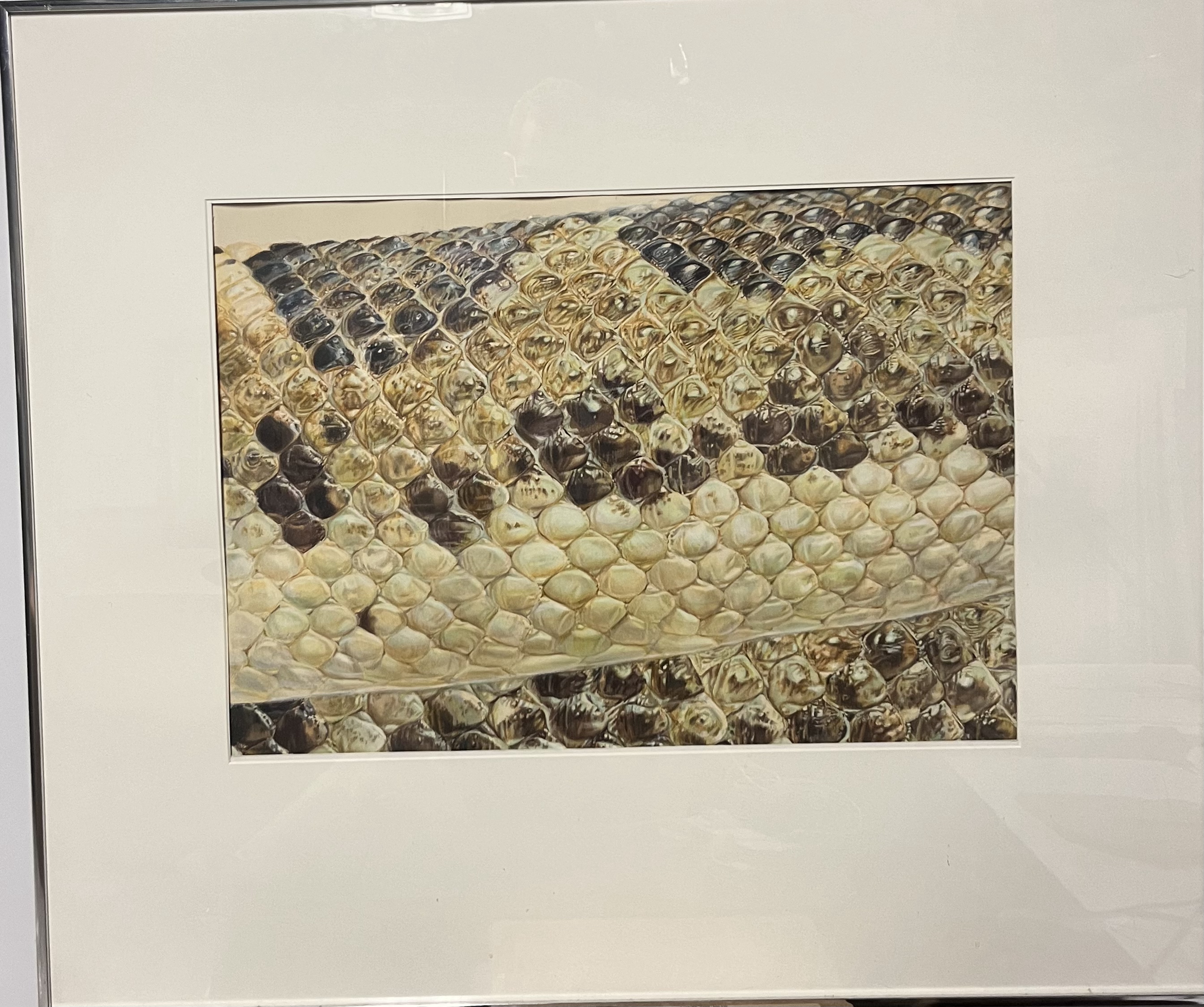 Image description is not available for 2024.3.79