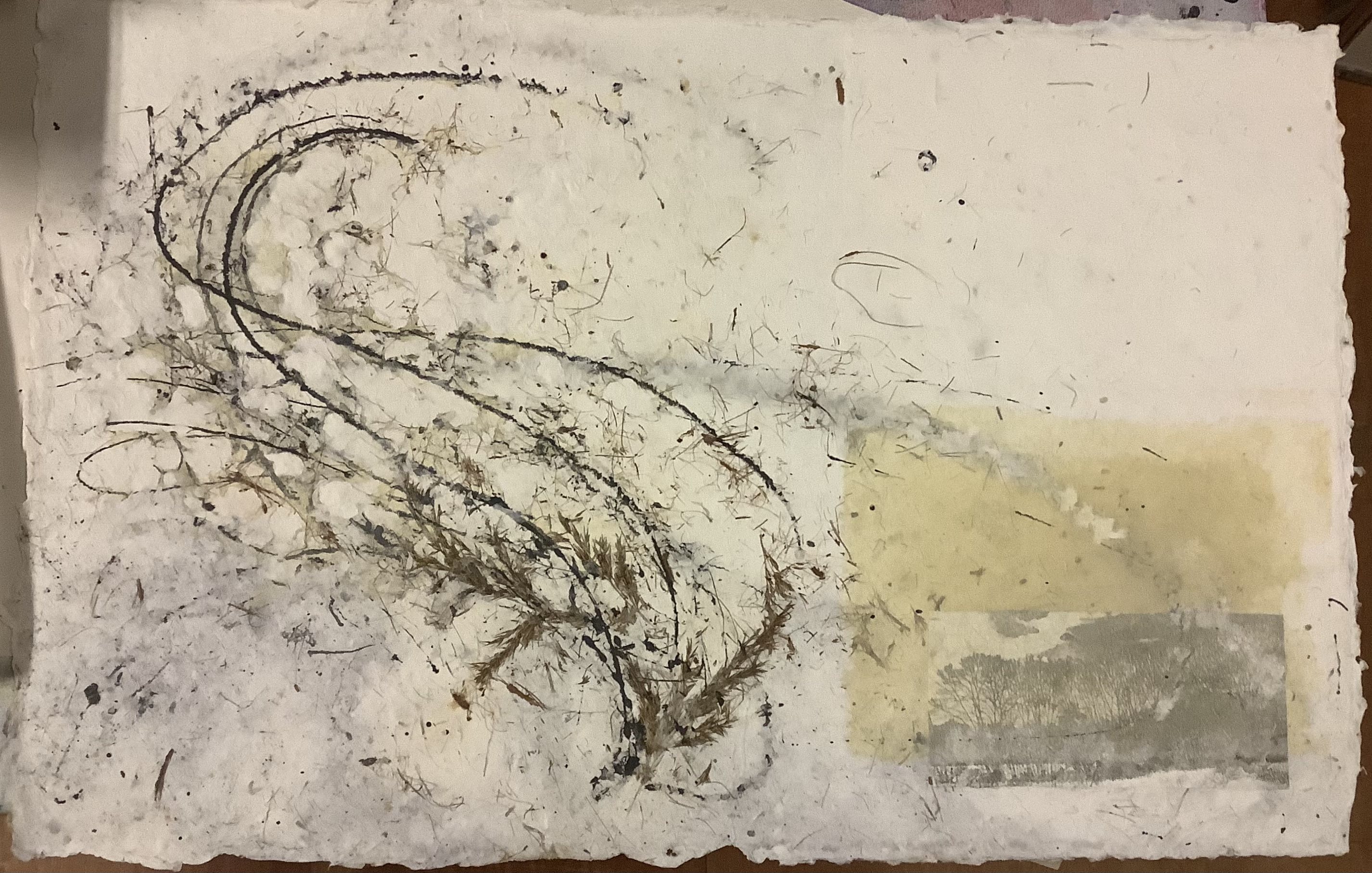 Image description is not available for 2024.3.74