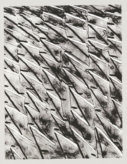 Image description is not available for BootheP_1998