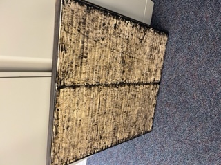 Image description is not available for BorysewiczA_2003.1.1