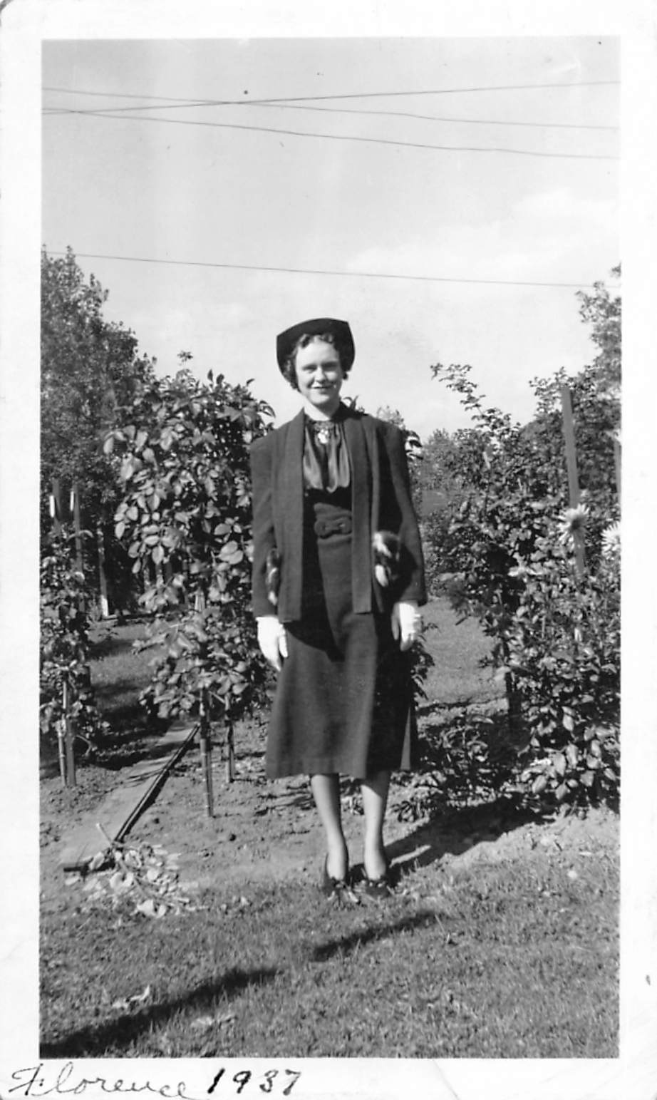 Image description is not available for 25-0967