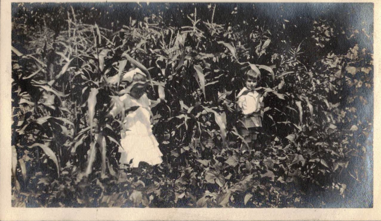 Image description is not available for 25-1140