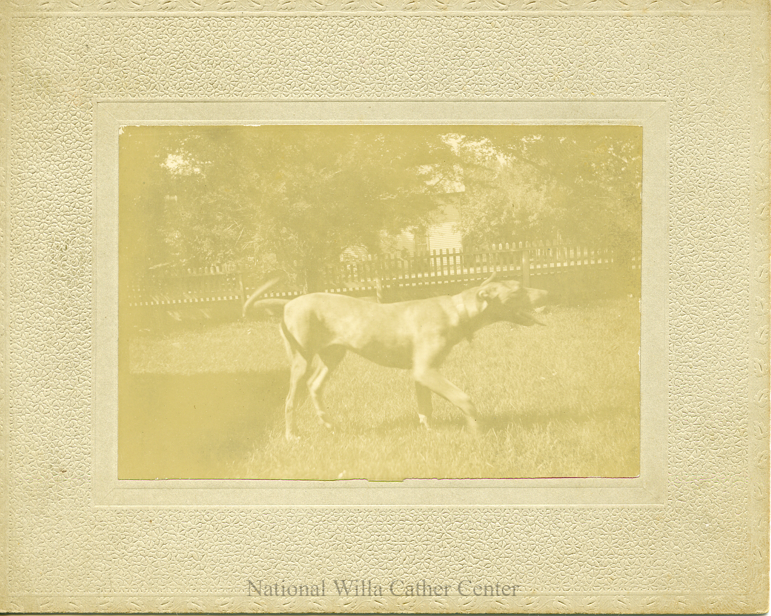 Image description is not available for PHO-4-W689-163