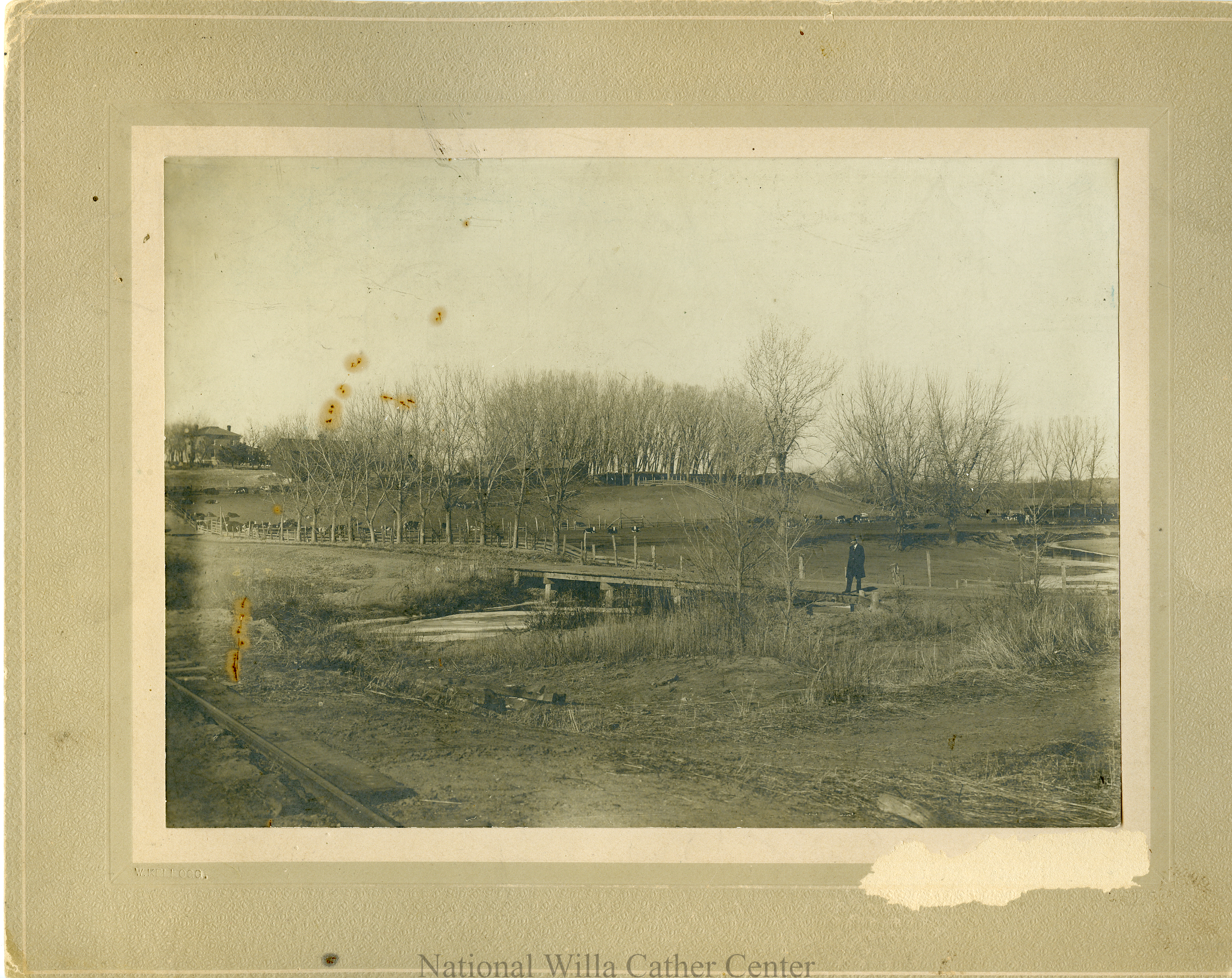 Image description is not available for PHO-4-W689-183