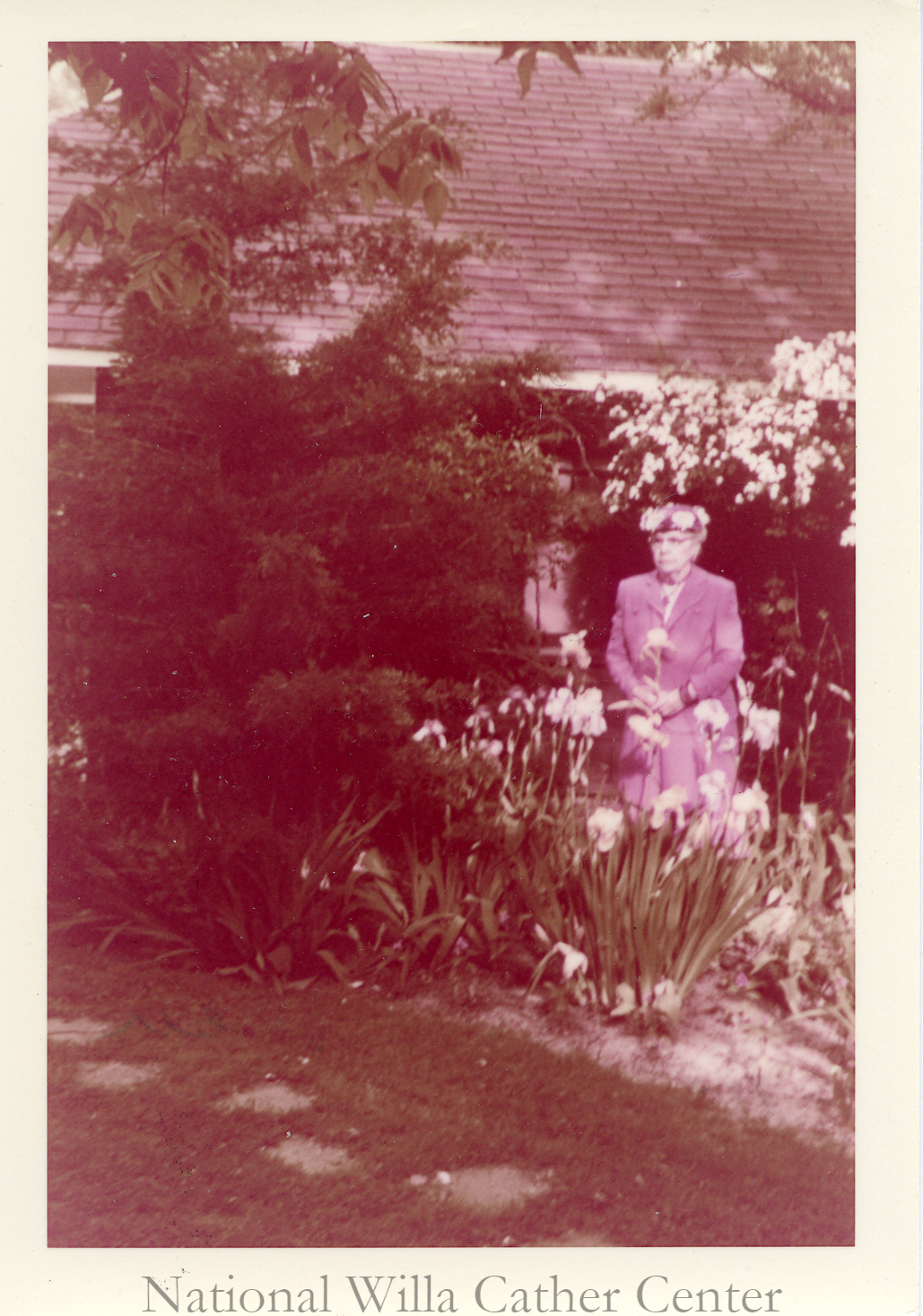 Image description is not available for PHO-4-W689-186