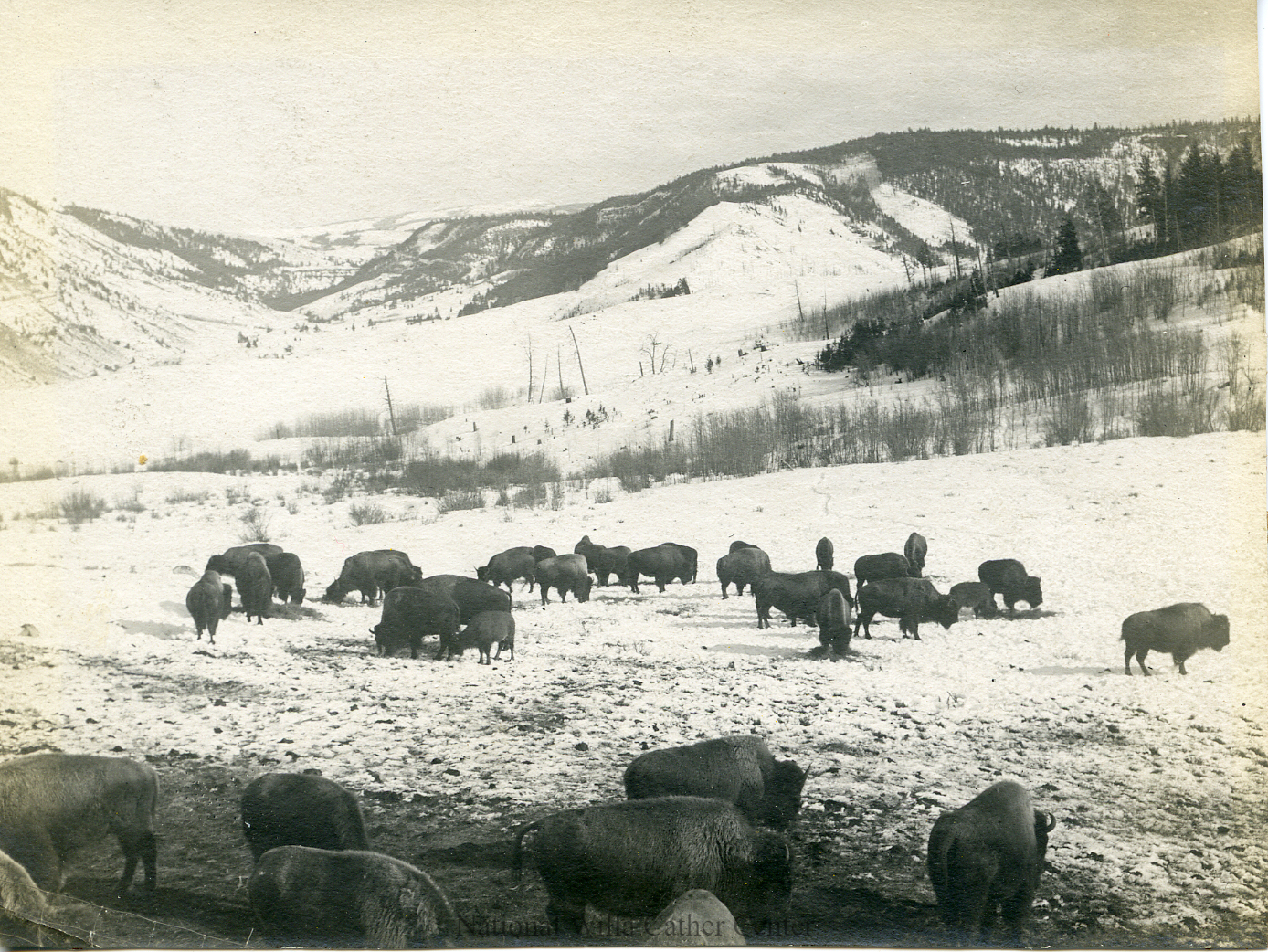 Image description is not available for PHO-4-W689-221