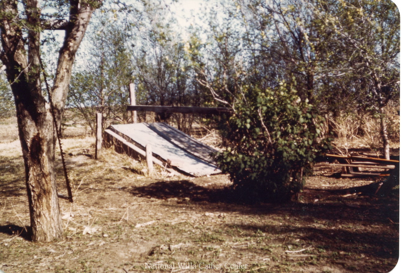 Image description is not available for PHO-4-W689-222