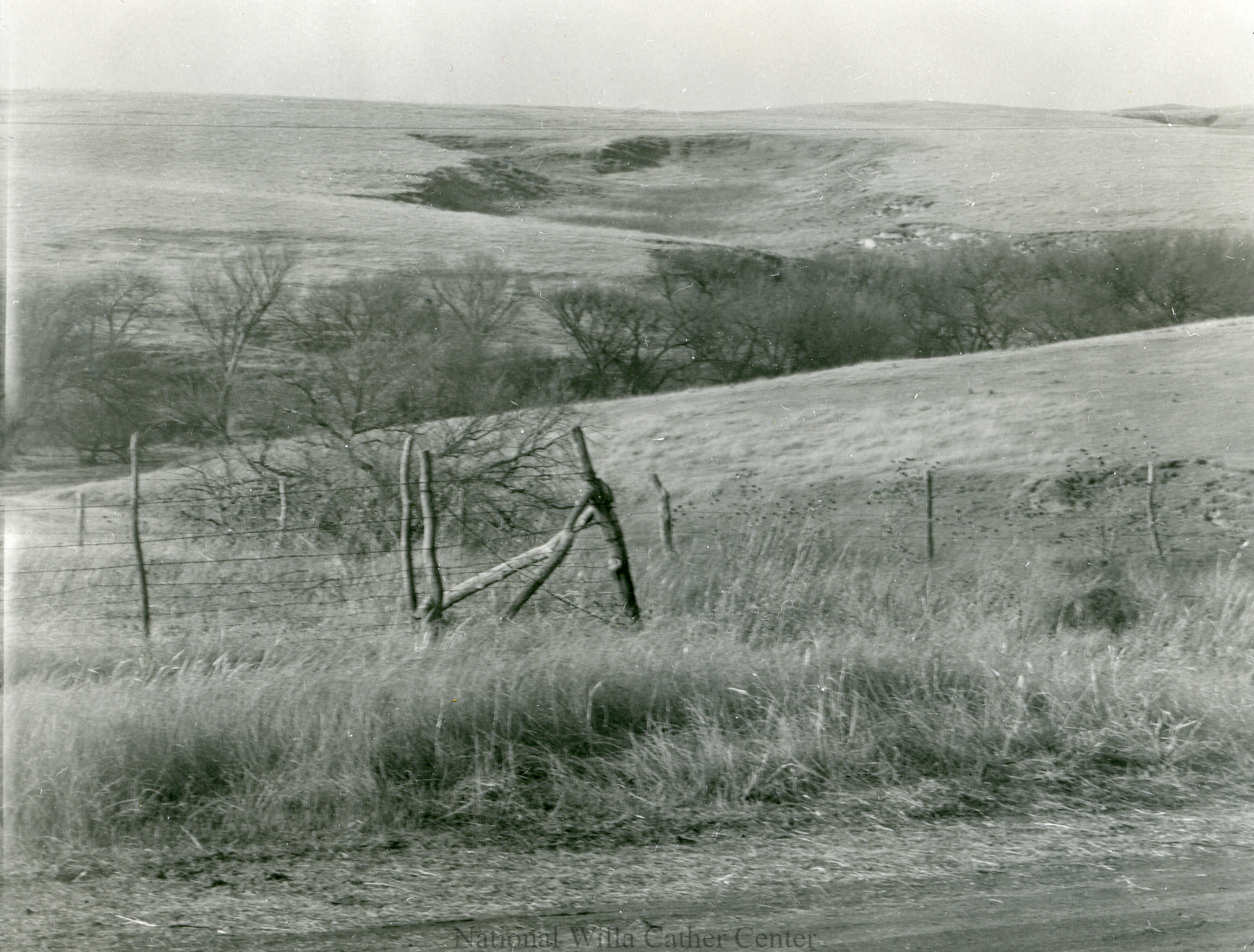 Image description is not available for PHO-4-W689-240