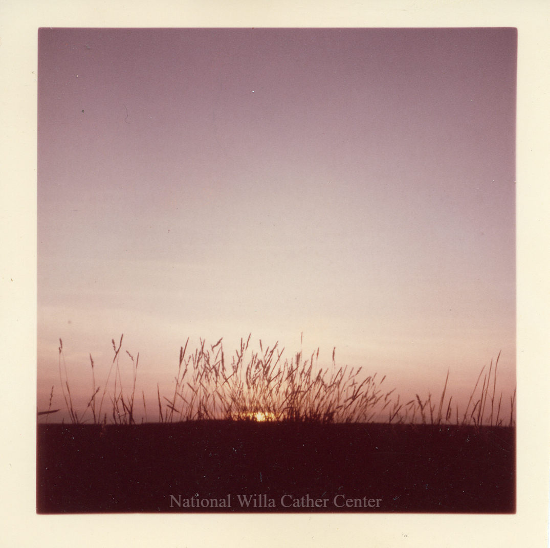 Image description is not available for PHO-4-W689-244