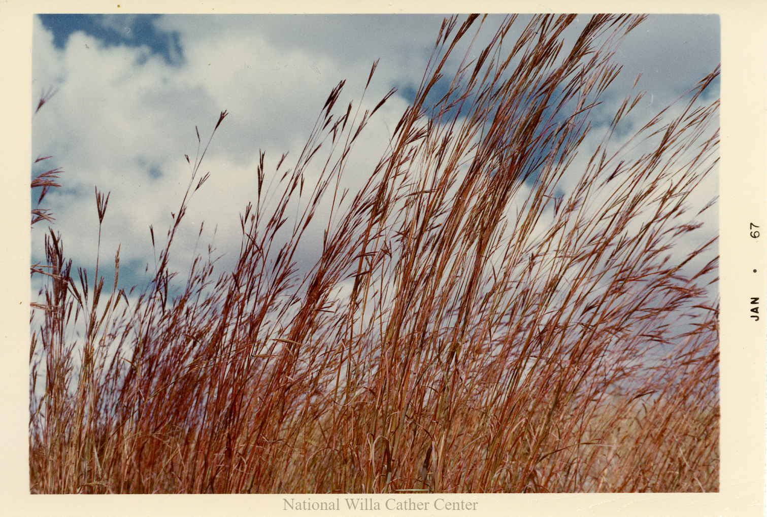 Image description is not available for PHO-4-W689-246