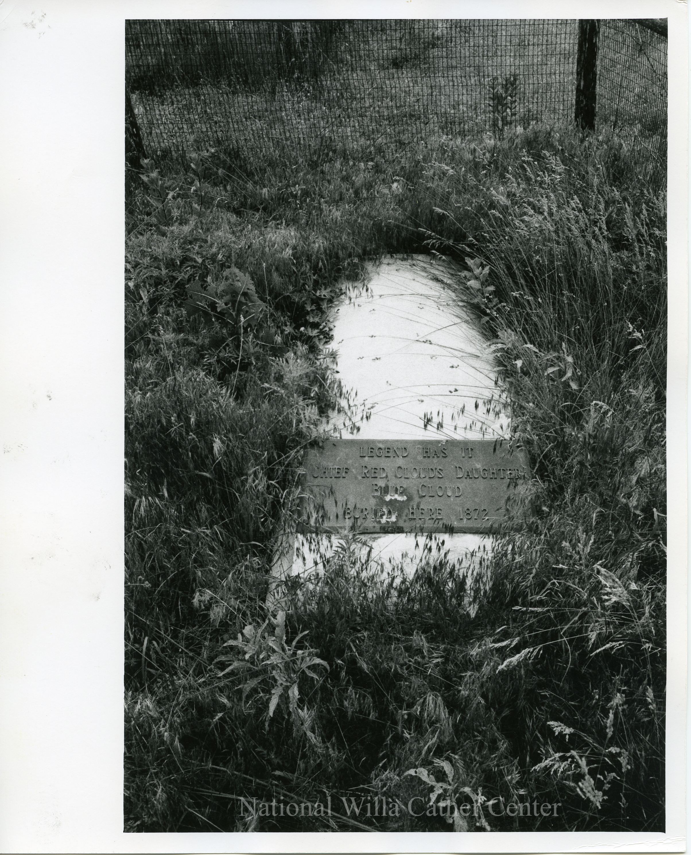 Image description is not available for PHO-4-W689-253