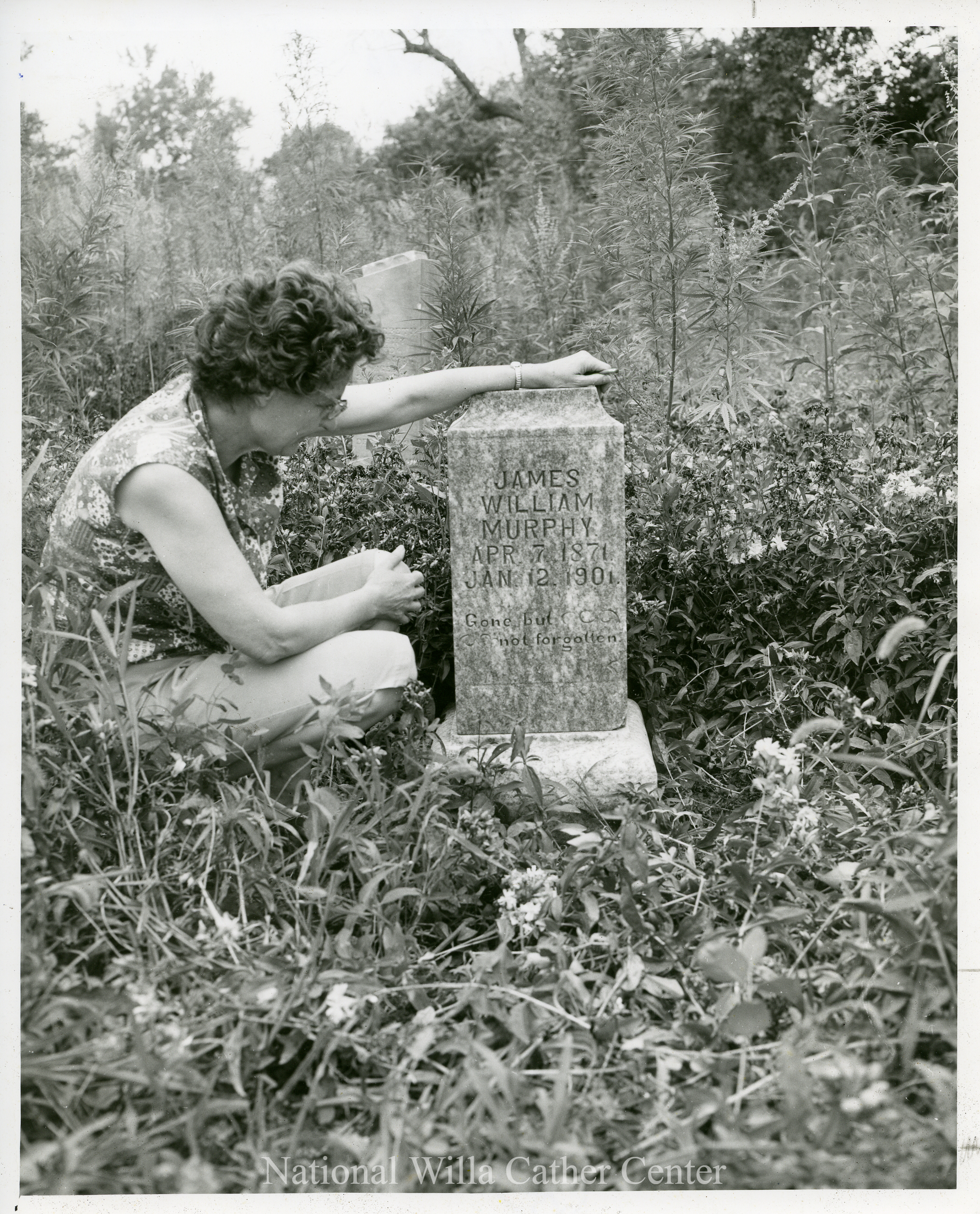 Image description is not available for PHO-4-W689-256