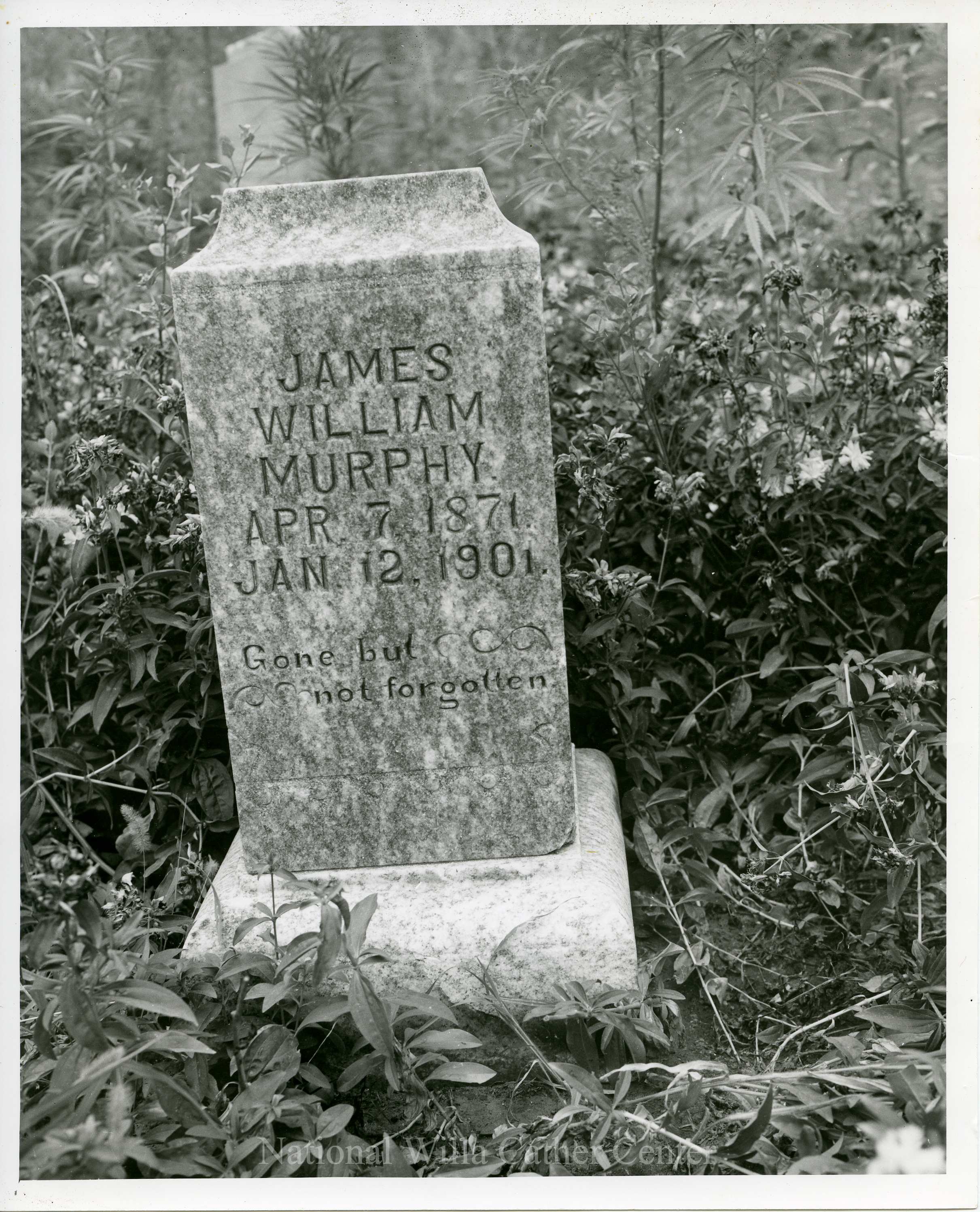 Image description is not available for PHO-4-W689-257