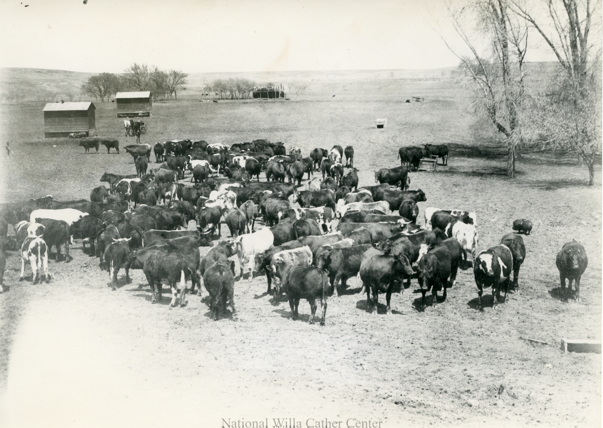 Image description is not available for PHO-4-W689-259