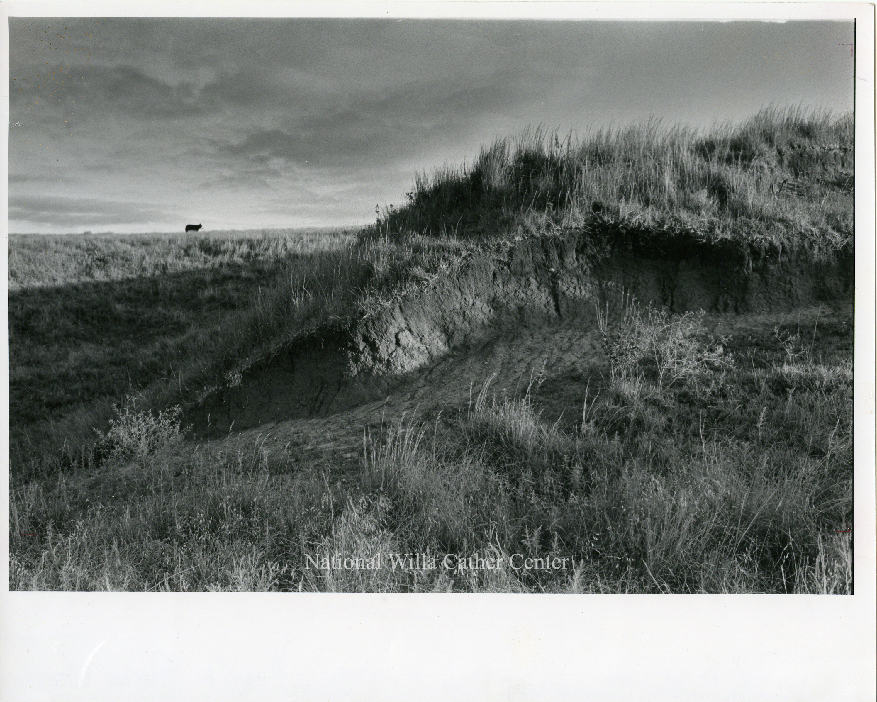 Image description is not available for PHO-4-W689-260