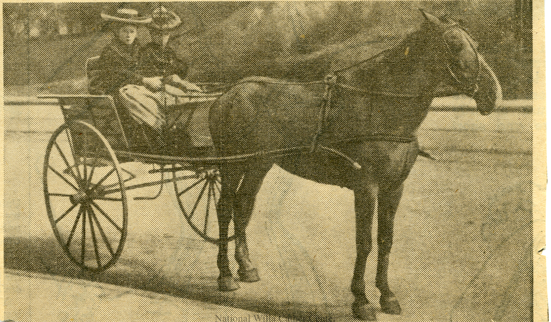 Image description is not available for PHO-4-W689-276