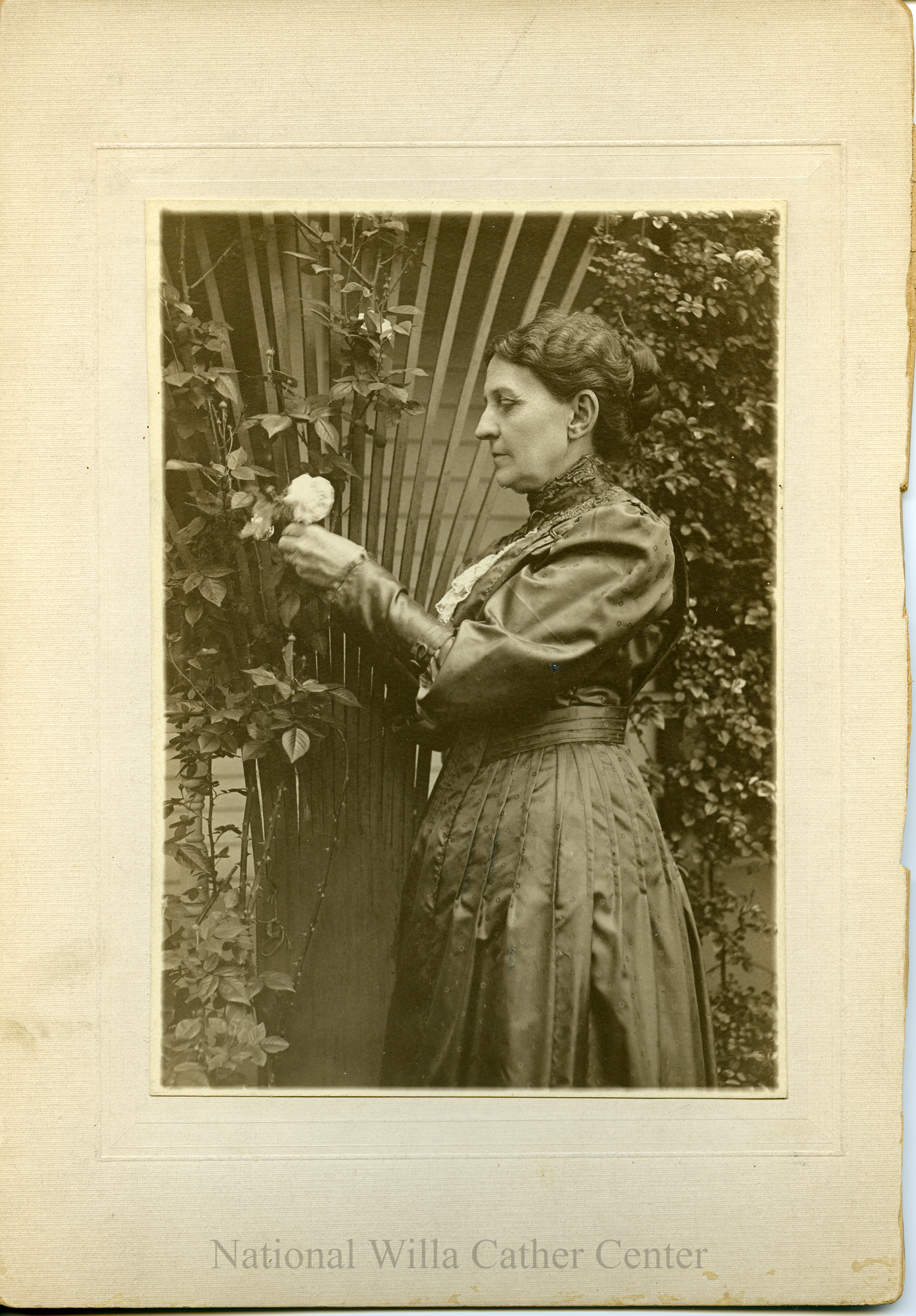 Image description is not available for PHO-4-W689-287