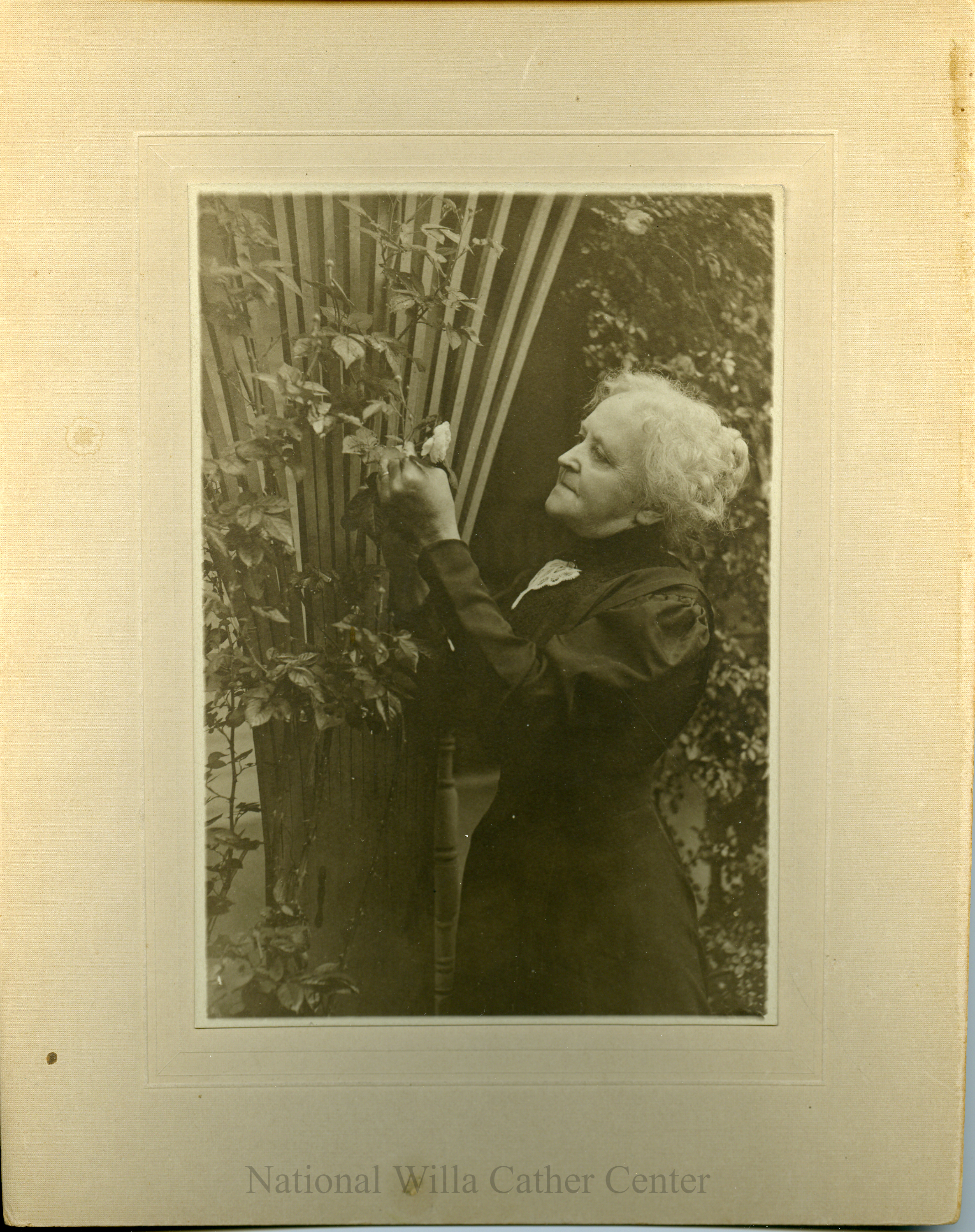 Image description is not available for PHO-4-W689-288