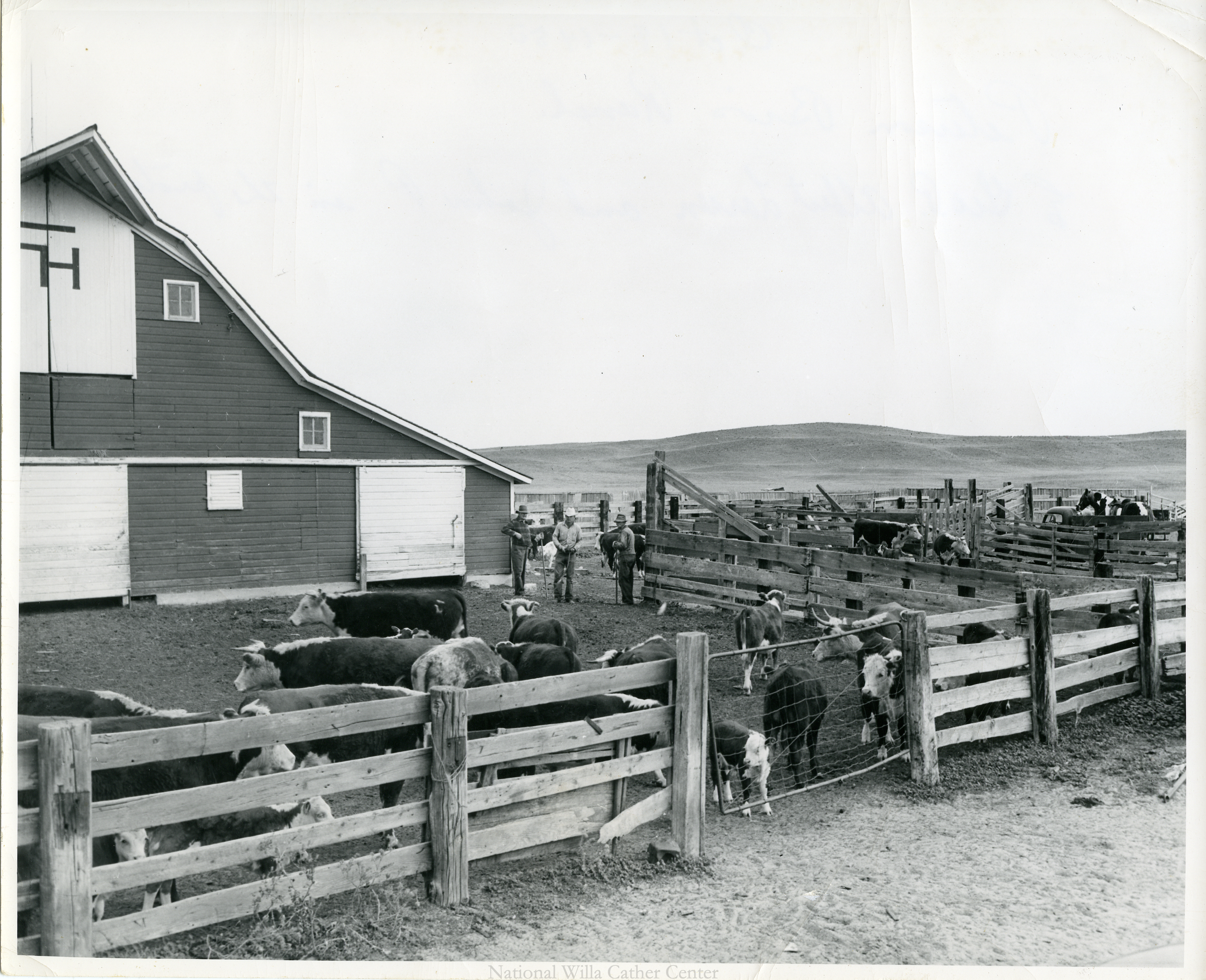 Image description is not available for PHO-4-W689-333