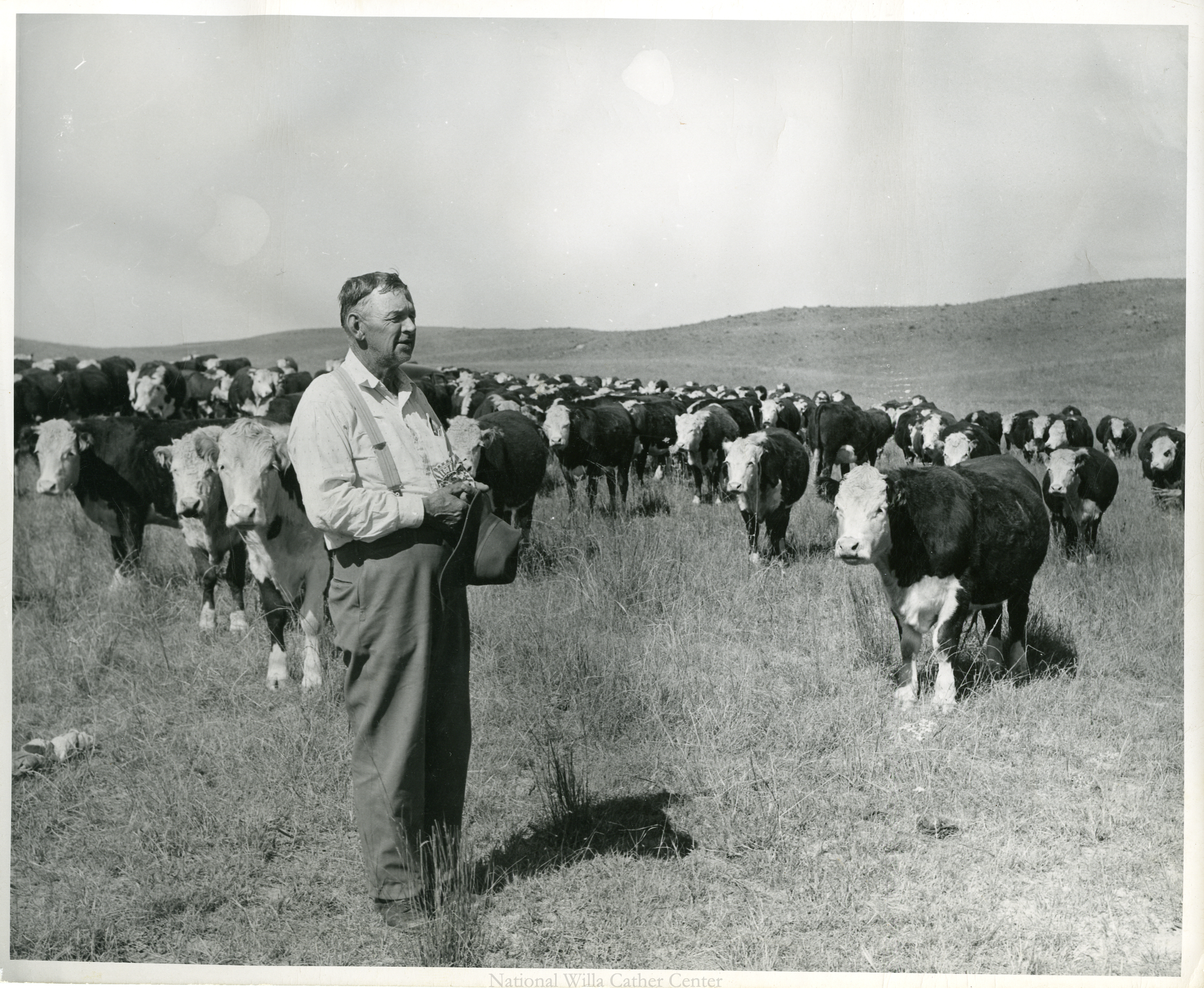 Image description is not available for PHO-4-W689-334