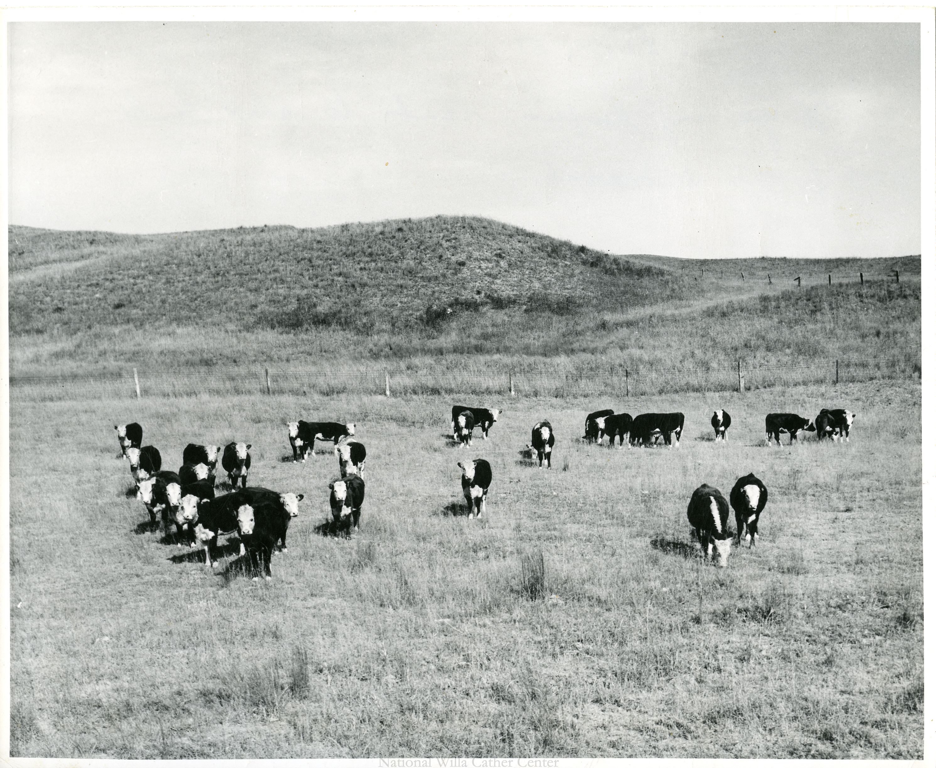 Image description is not available for PHO-4-W689-336