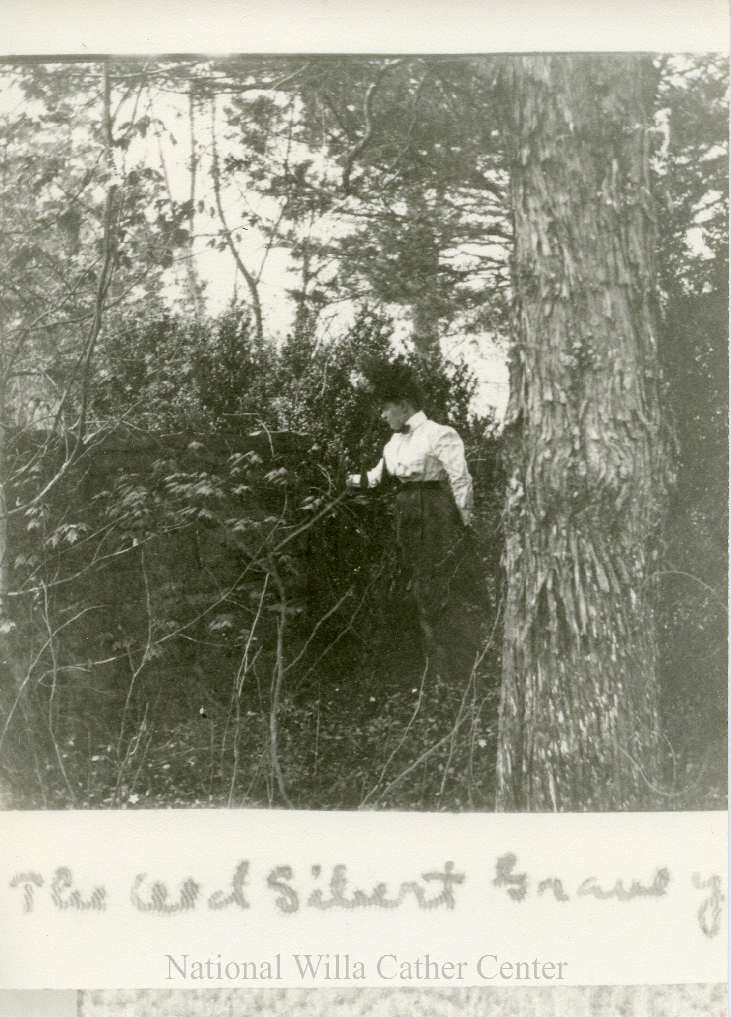 Image description is not available for PHO-4-W689-45