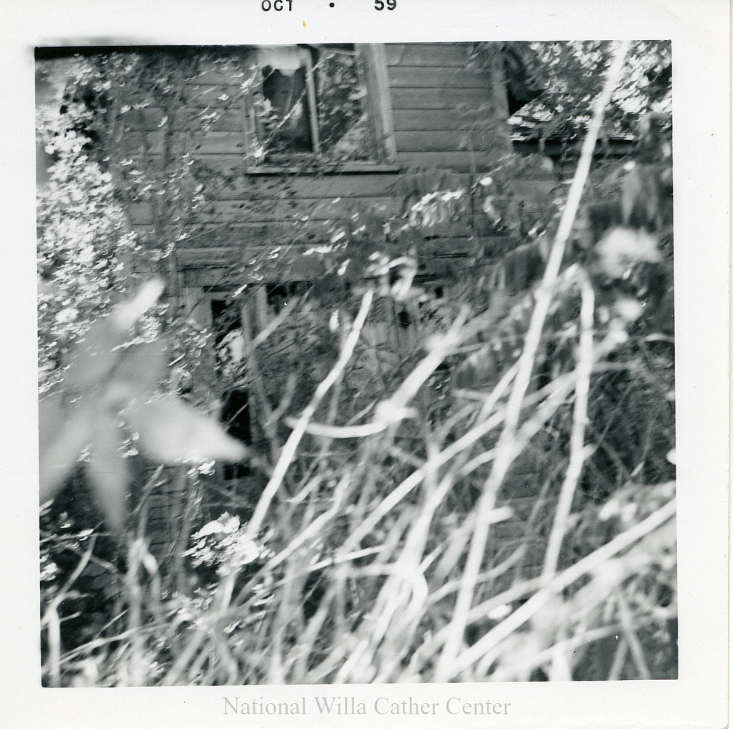 Image description is not available for PHO-4-W689-62