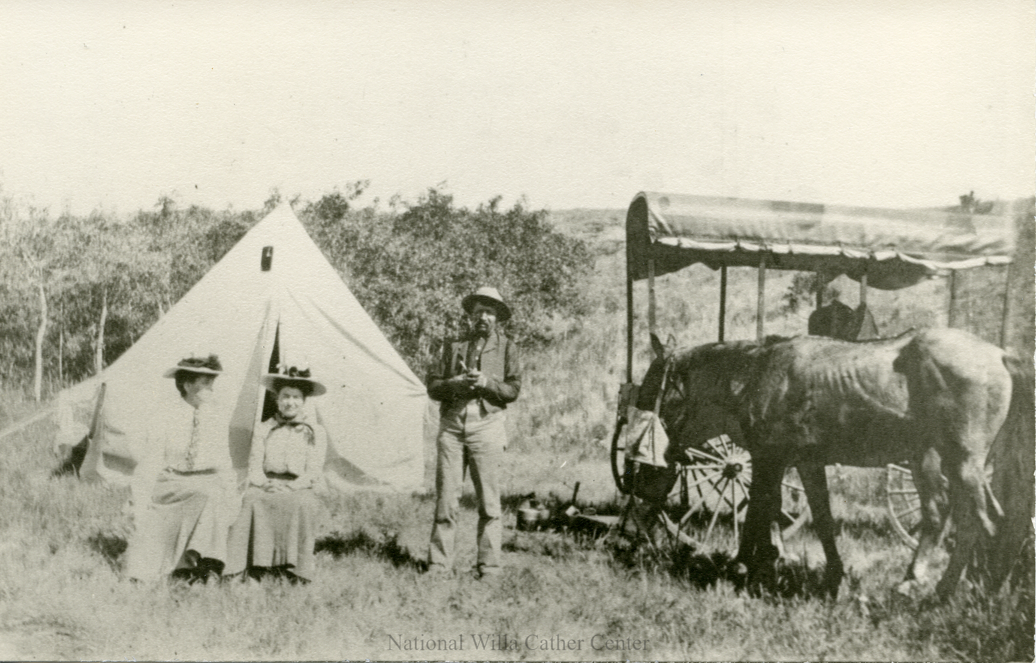 Image description is not available for PHO-4-W689-64