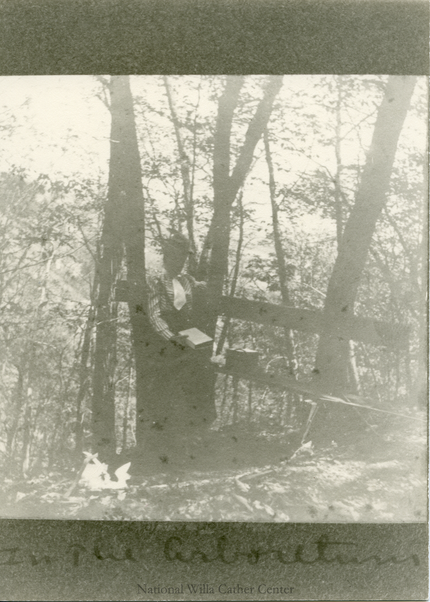 Image description is not available for PHO-4-W689-83