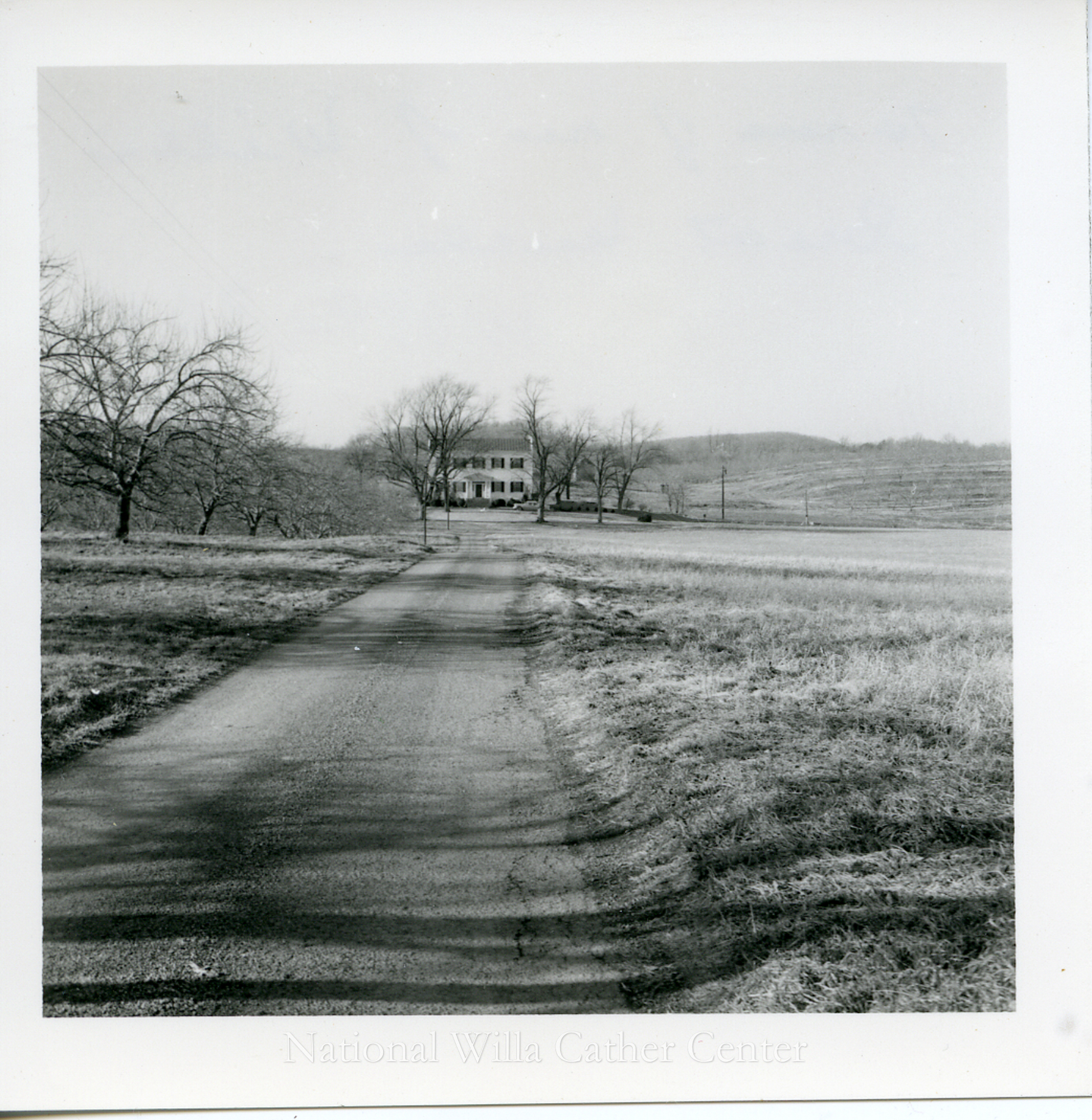 Image description is not available for PHO-4-W689-364